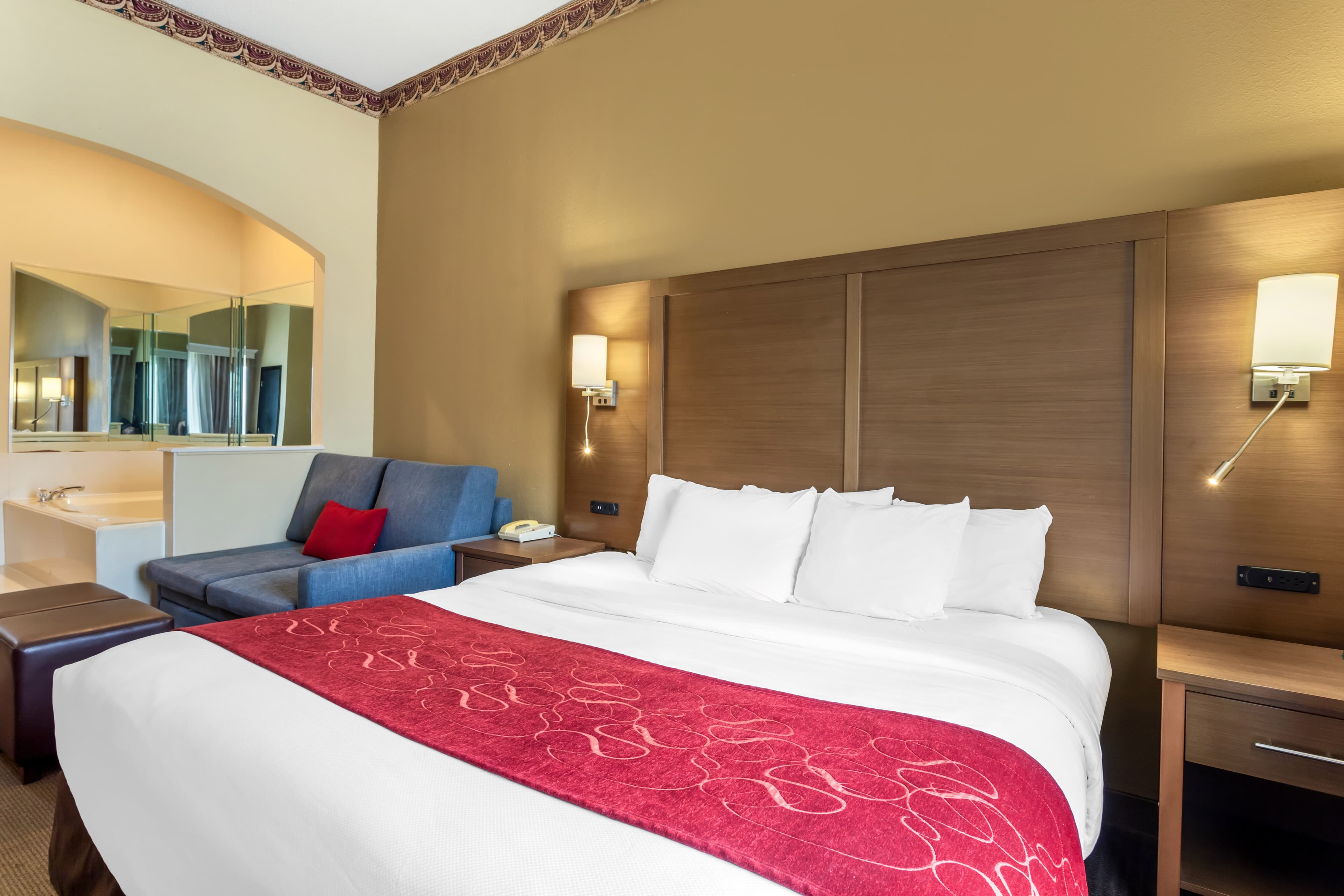 Comfort Suites Bush Intercontinental Airport - Image 2