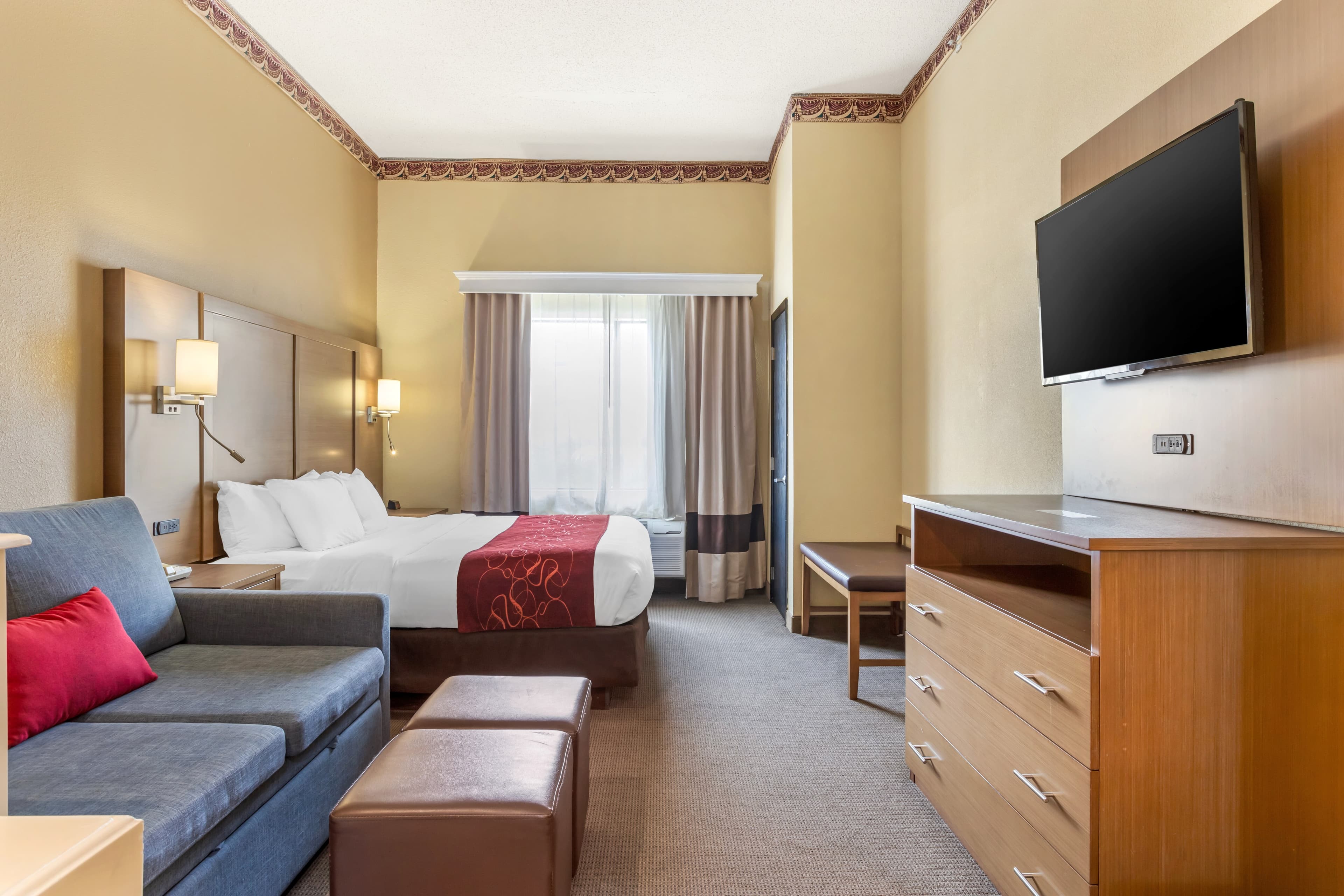 Comfort Suites Bush Intercontinental Airport - Image 3
