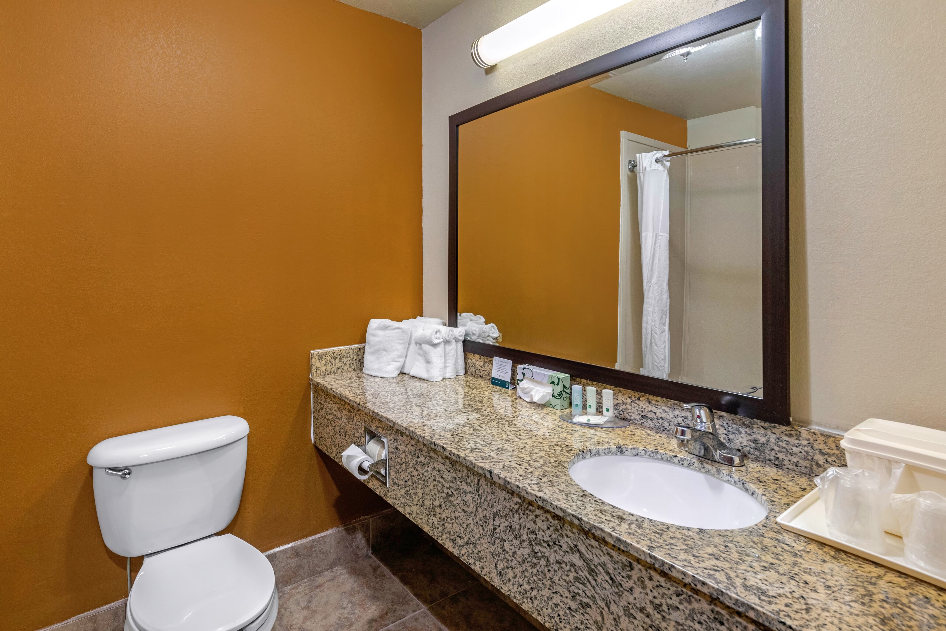 Quality Suites Addison-Dallas — 15