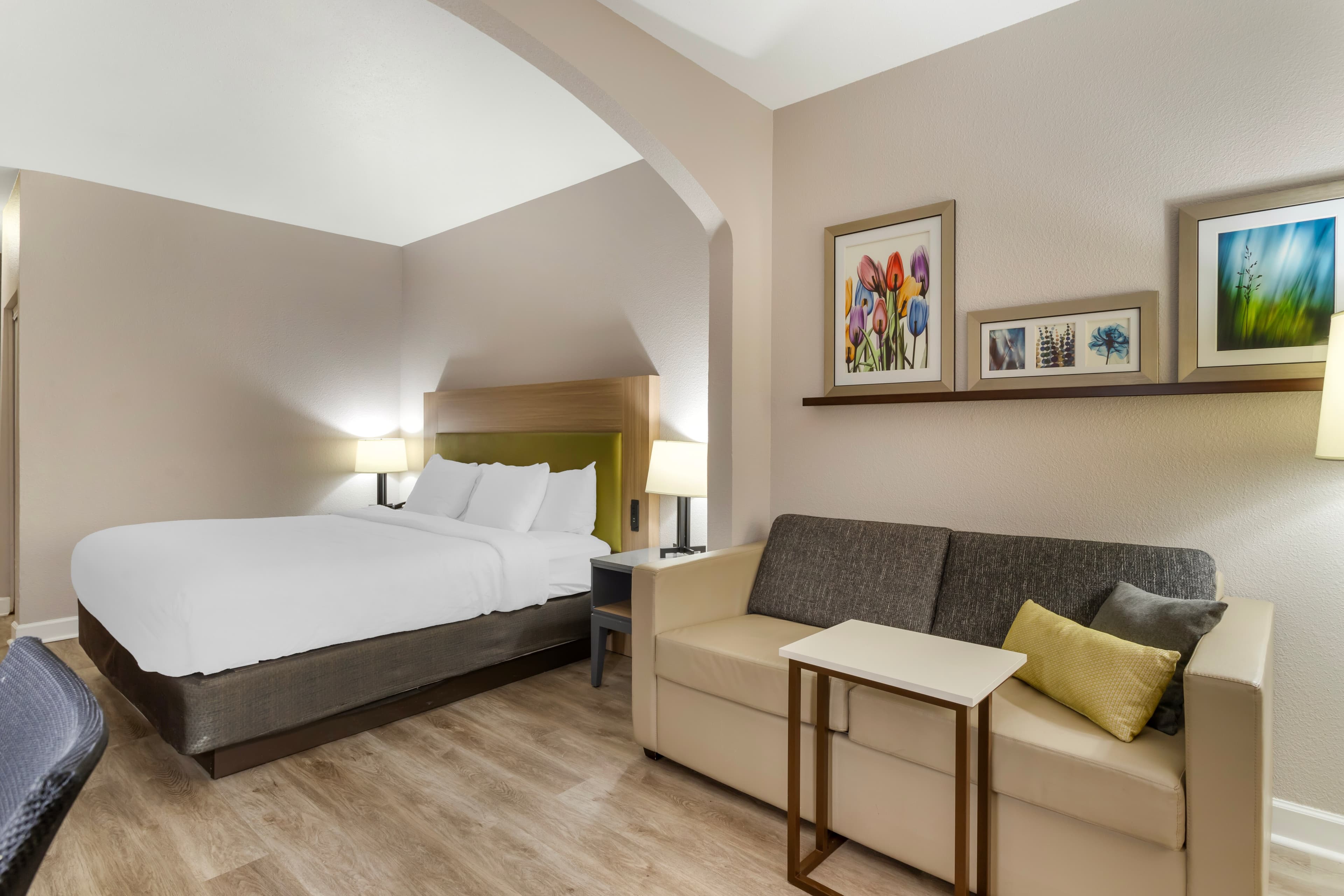 Comfort Suites Shenandoah-The Woodlands - Image 2
