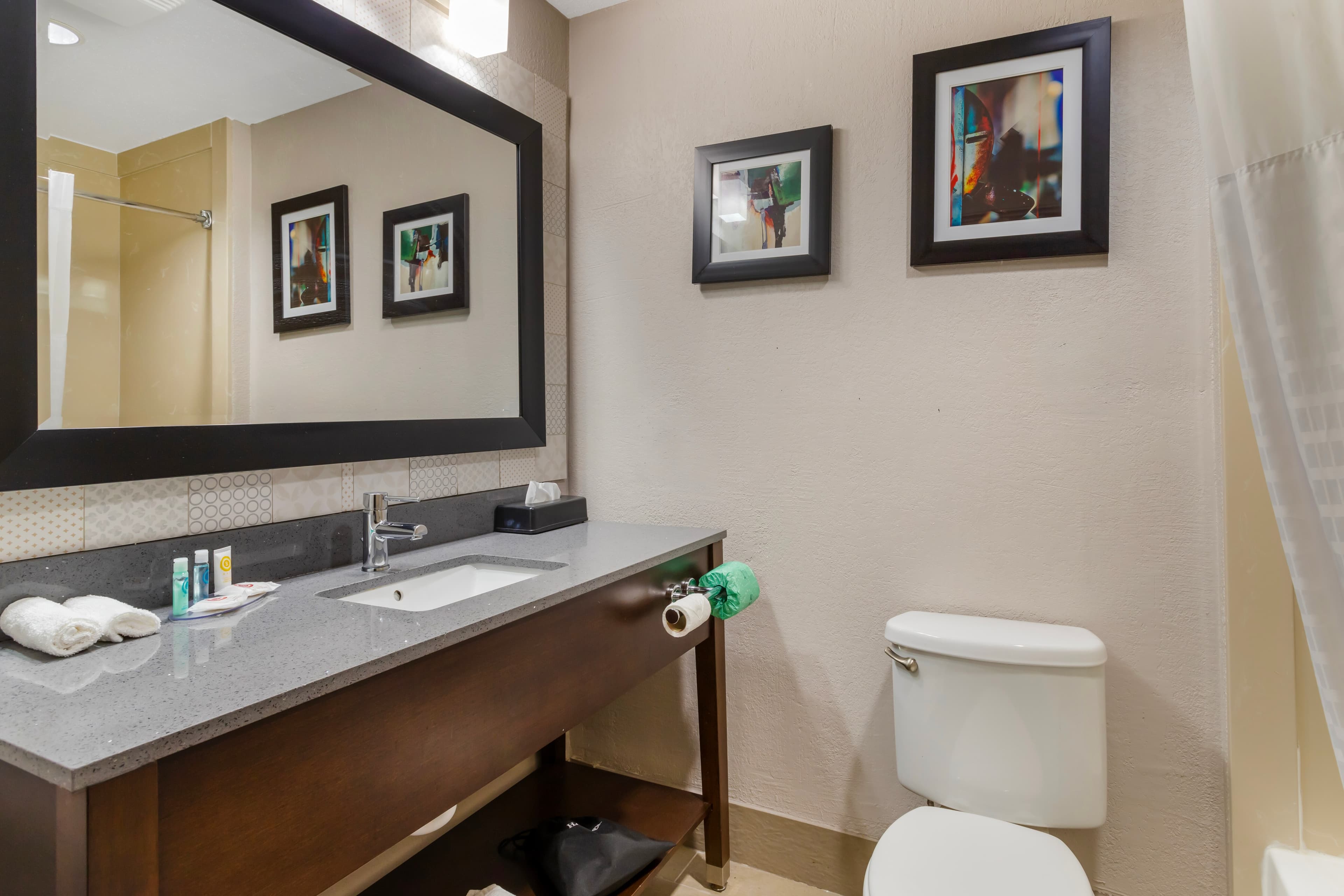 Comfort Suites Shenandoah-The Woodlands — 13