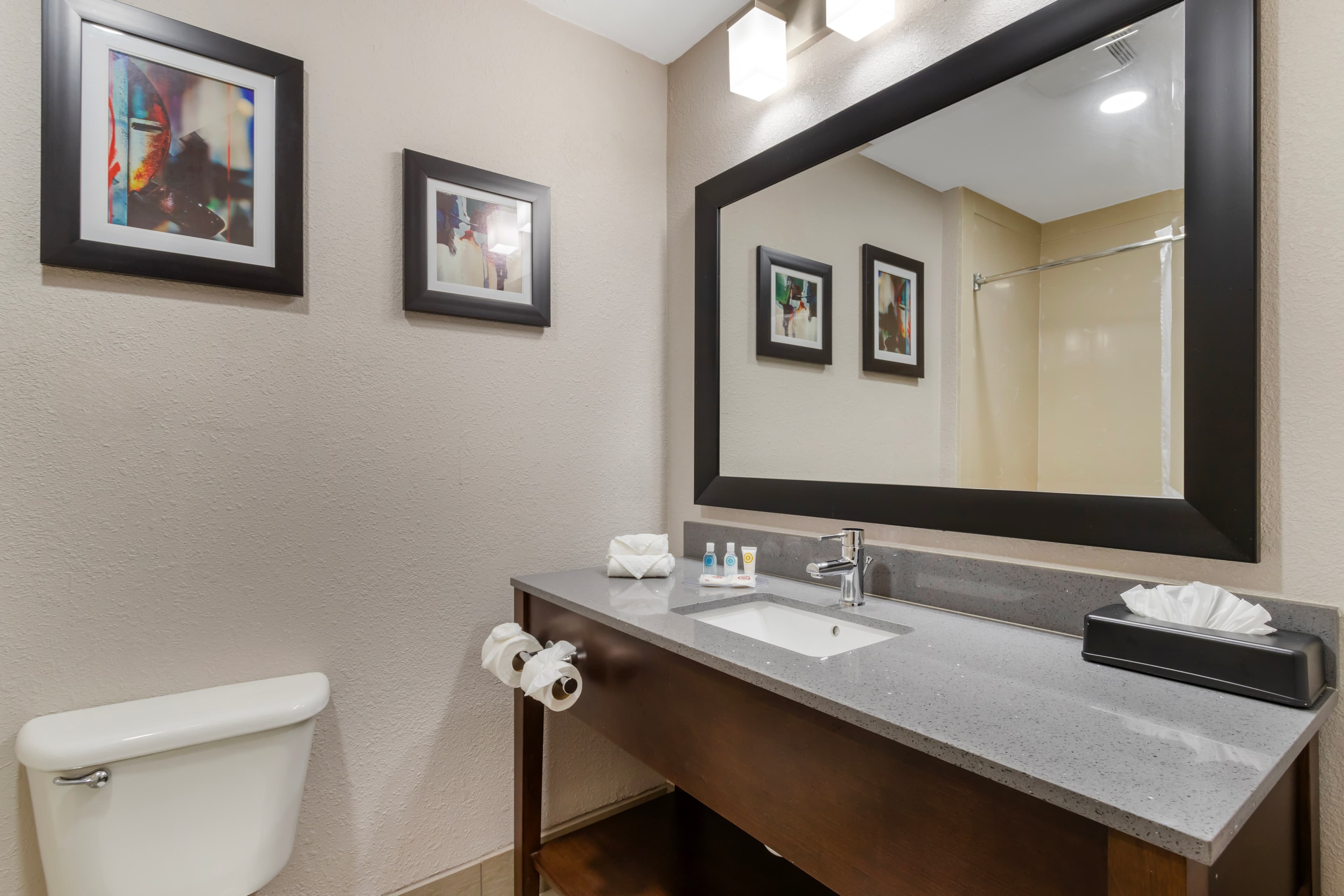 Comfort Suites Shenandoah-The Woodlands — 9