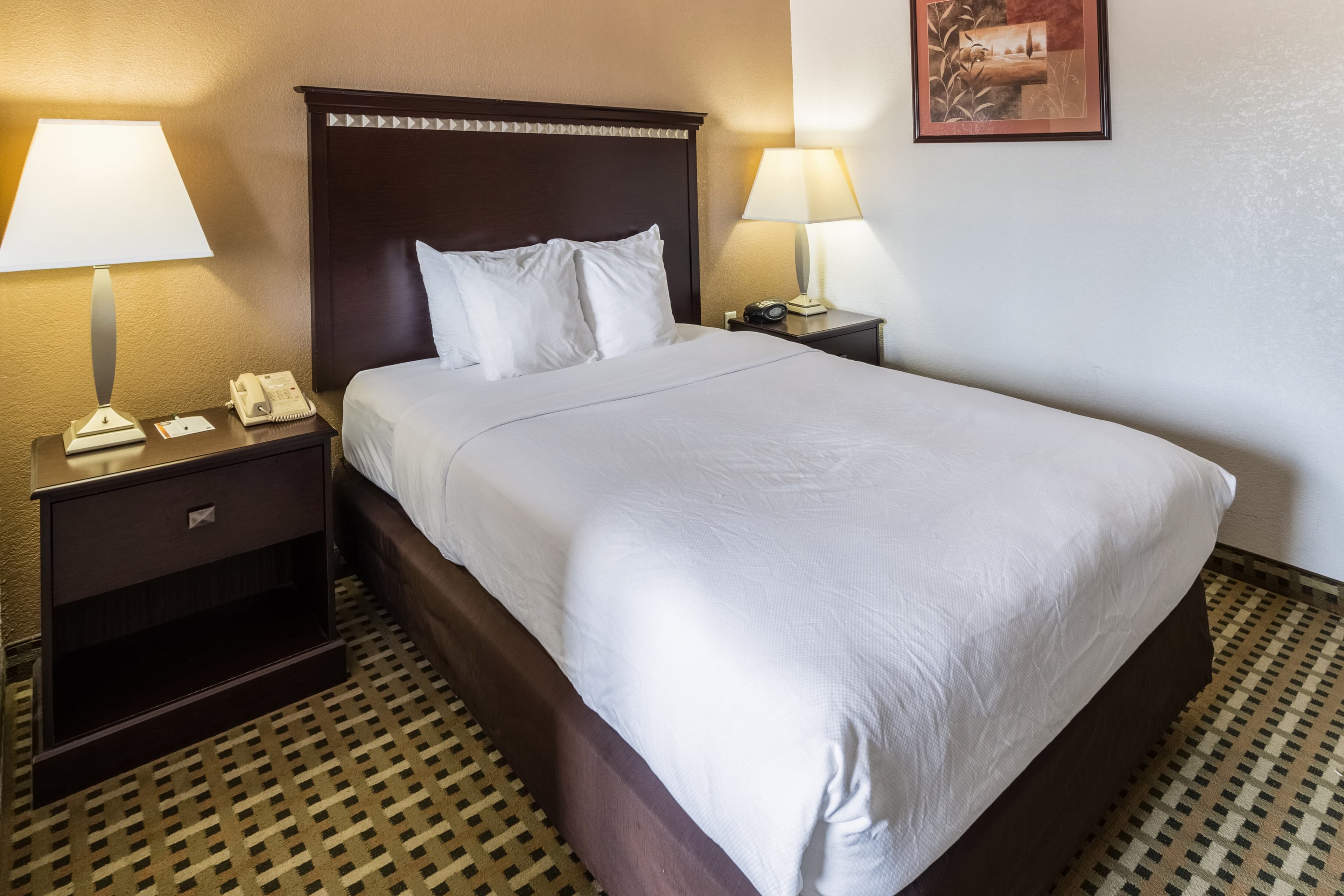 Quality Suites Burleson - Ft. Worth - Image 3