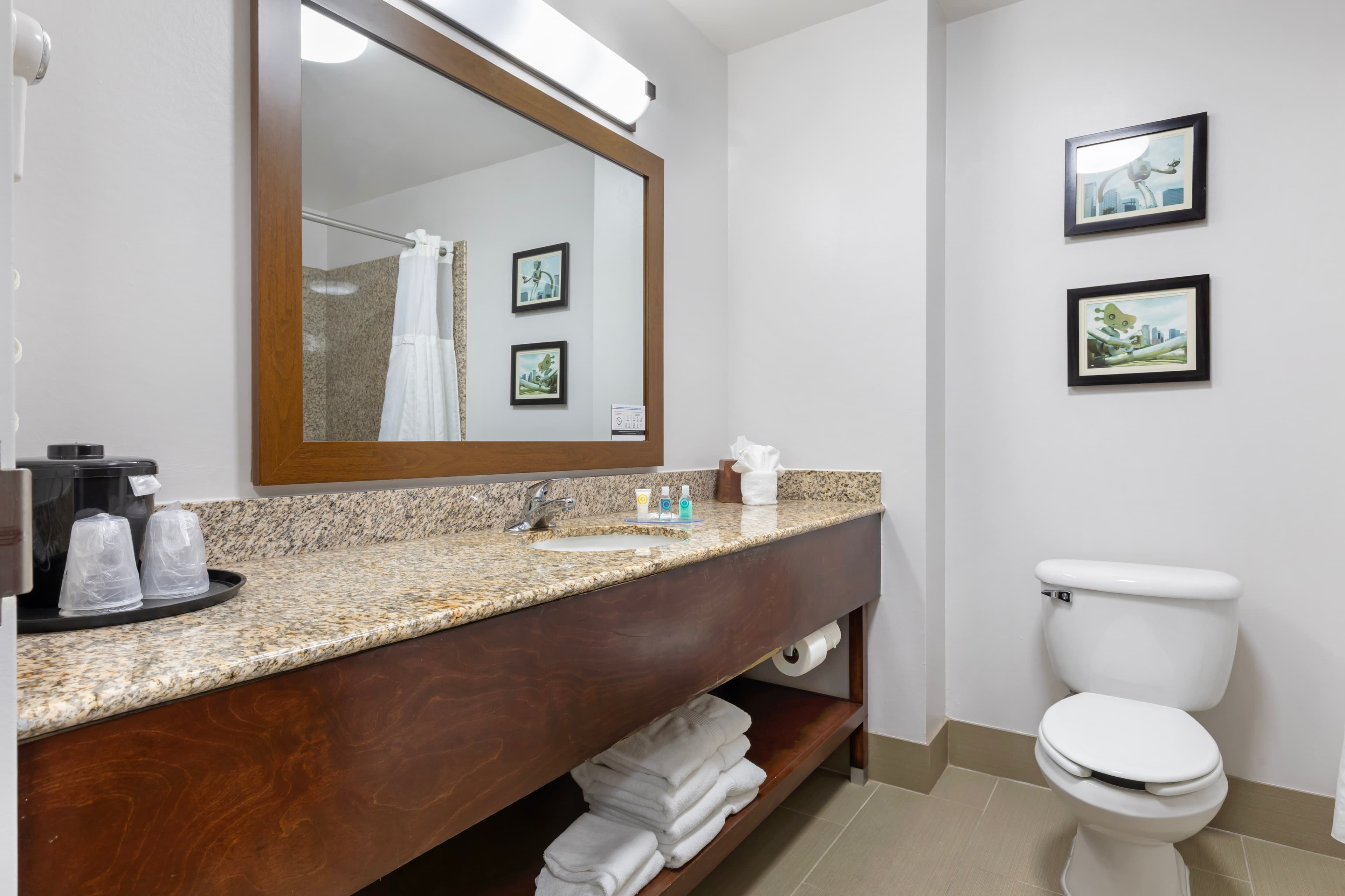 Comfort Suites DFW N/Grapevine — 10