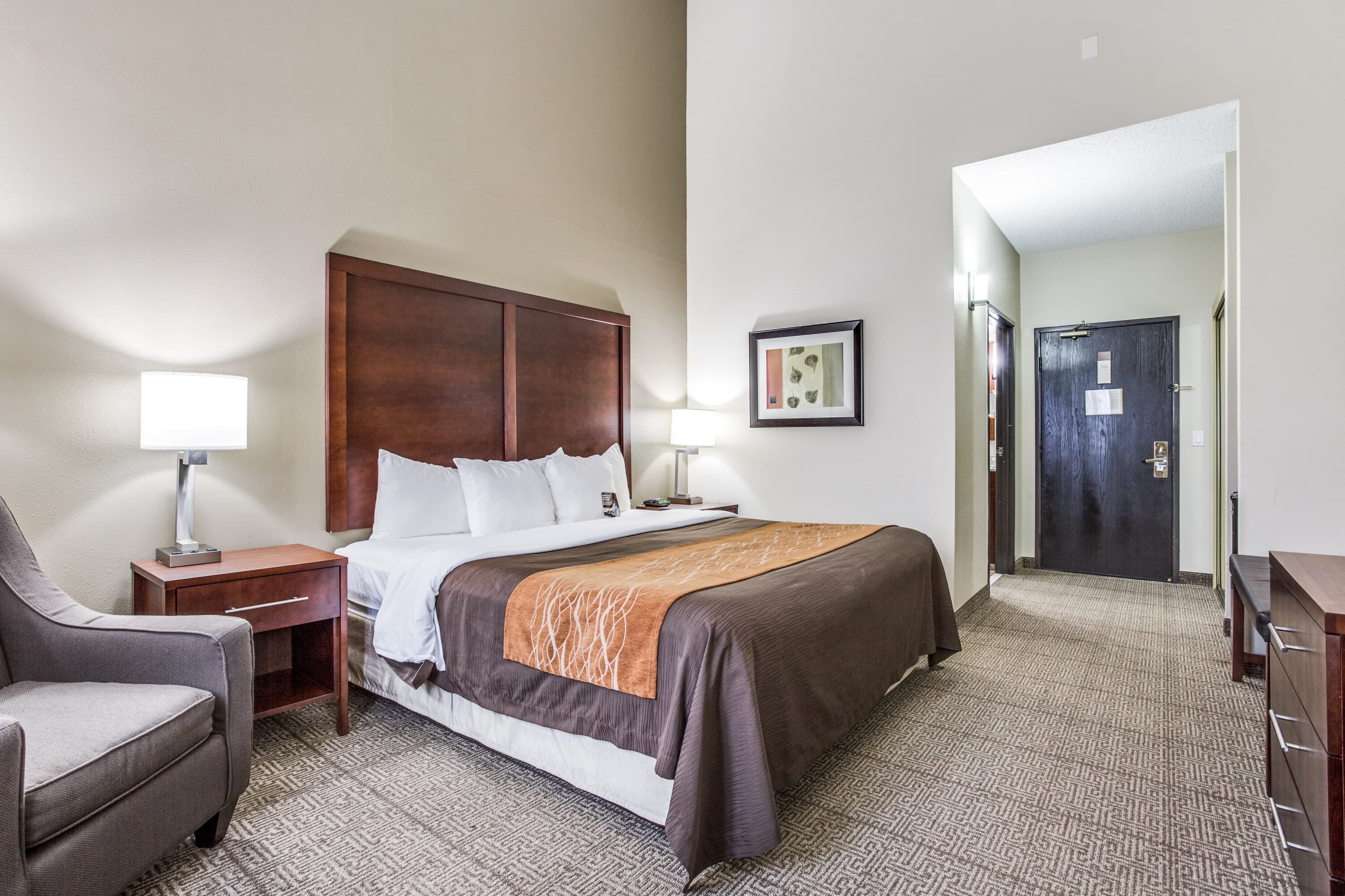 Comfort Inn & Suites Love Field-Dallas Market Center - Image 3