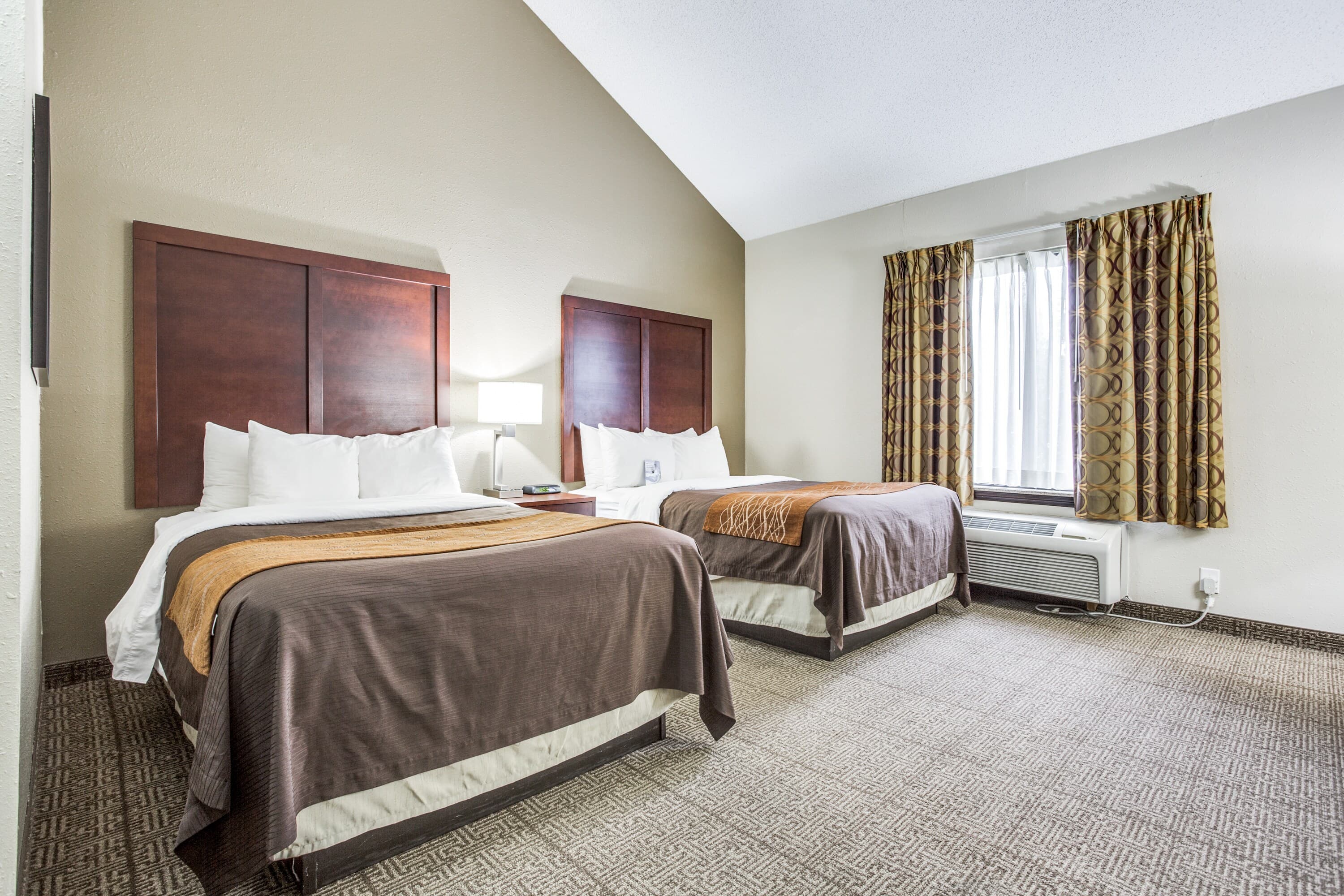 Comfort Inn & Suites Love Field-Dallas Market Center - Image 4