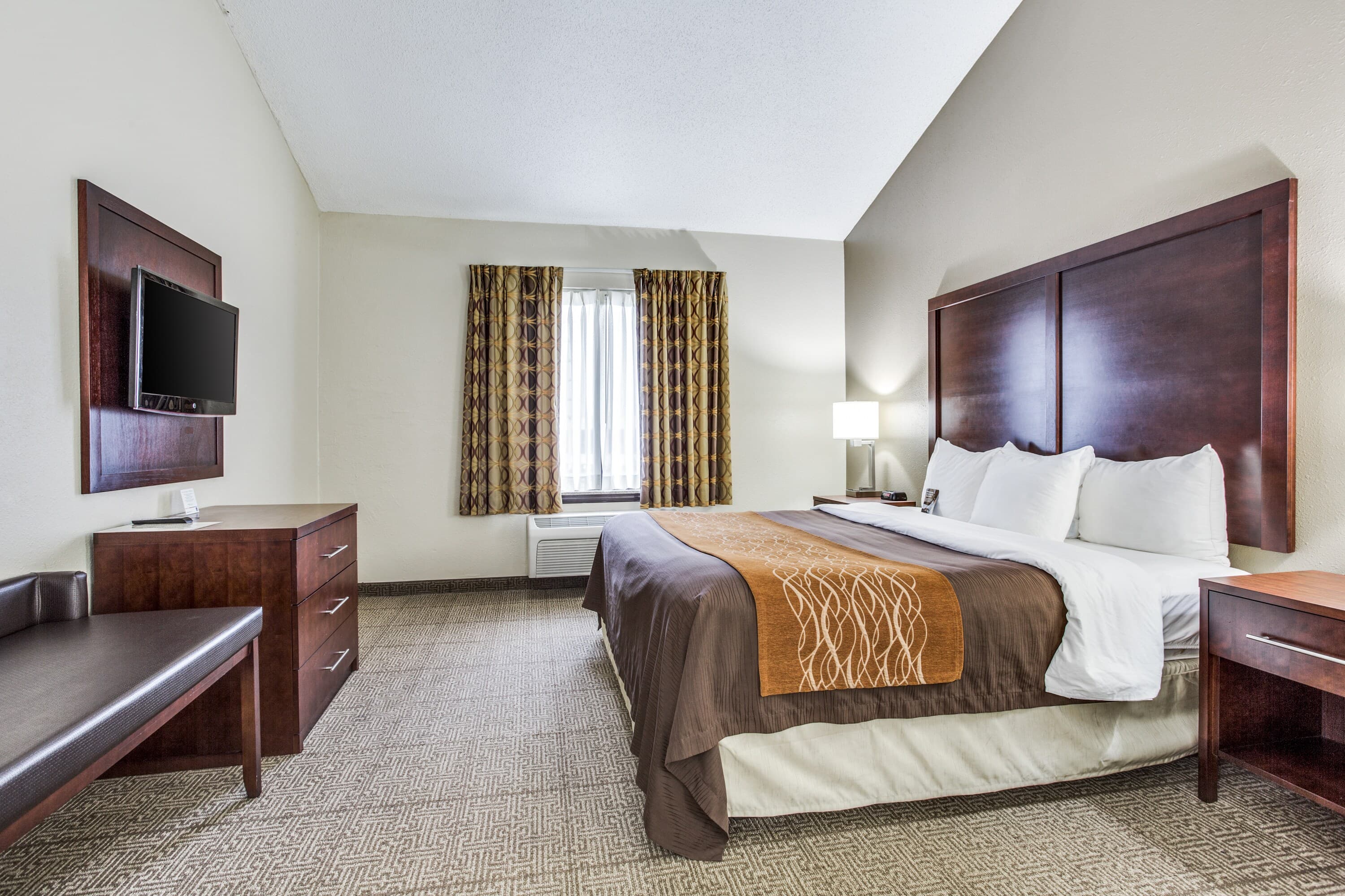 Comfort Inn & Suites Love Field-Dallas Market Center — 10
