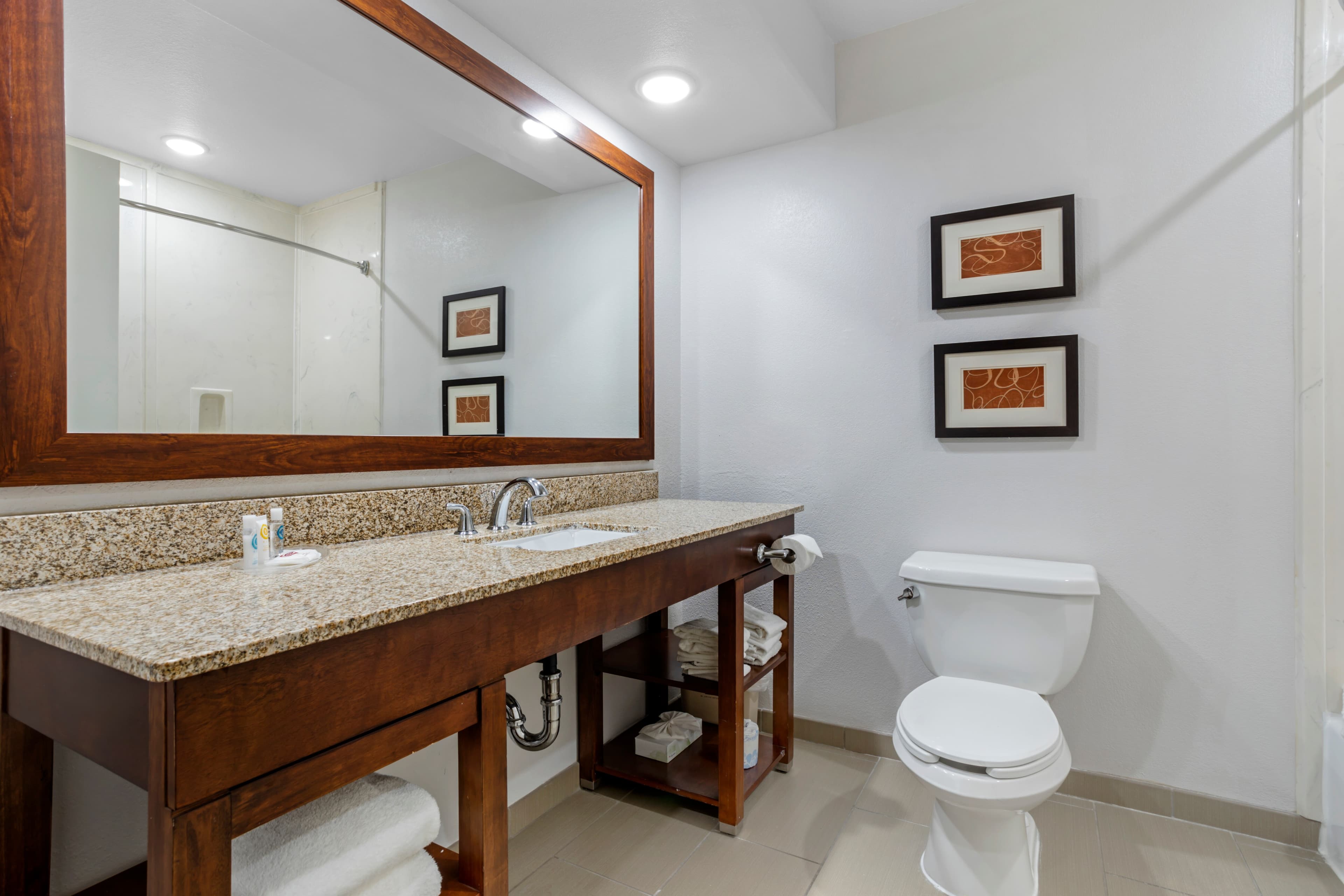 Comfort Suites Houston NW - Vintage Park — 14