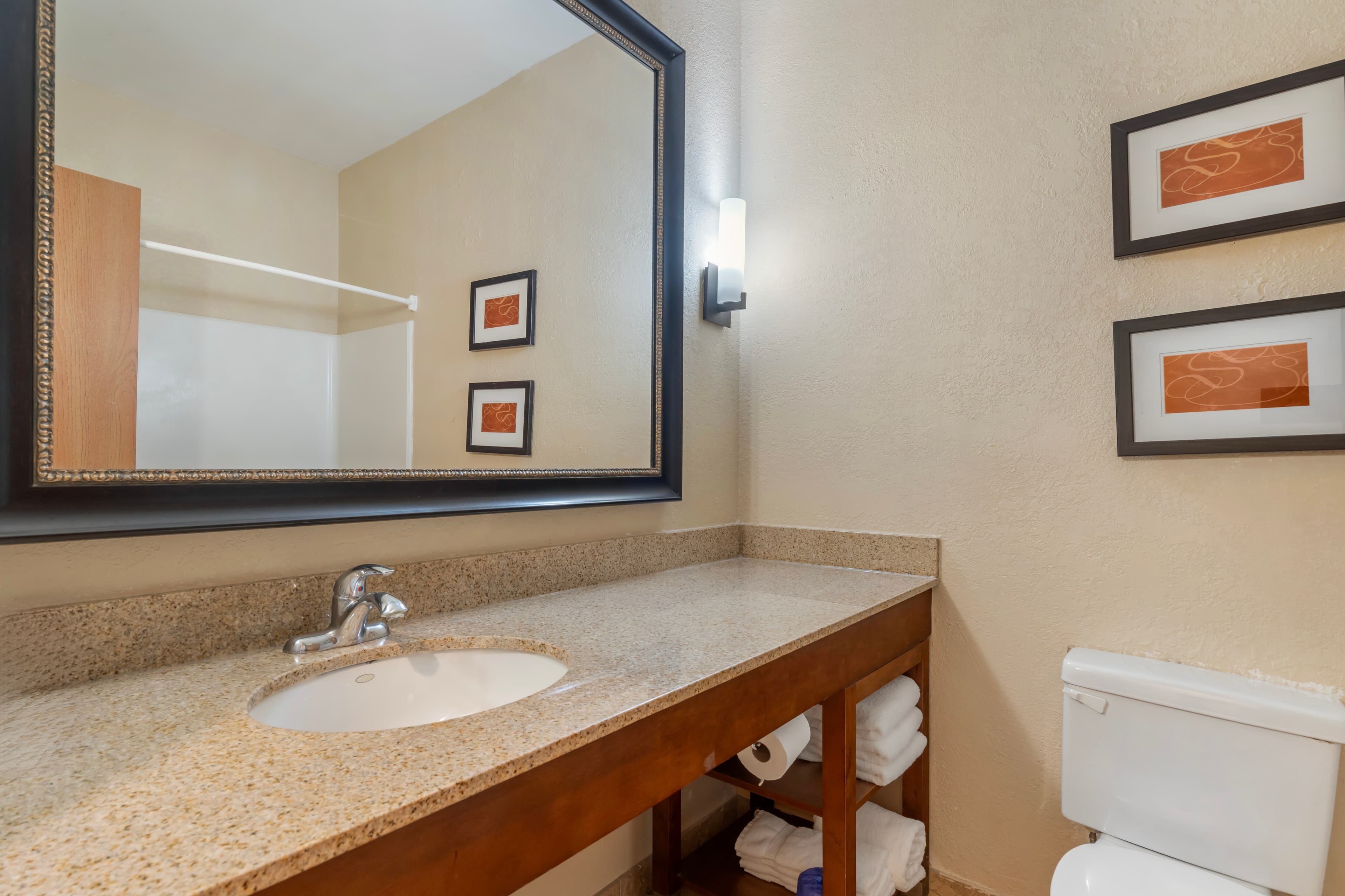 Comfort Suites McKinney-Allen — 17