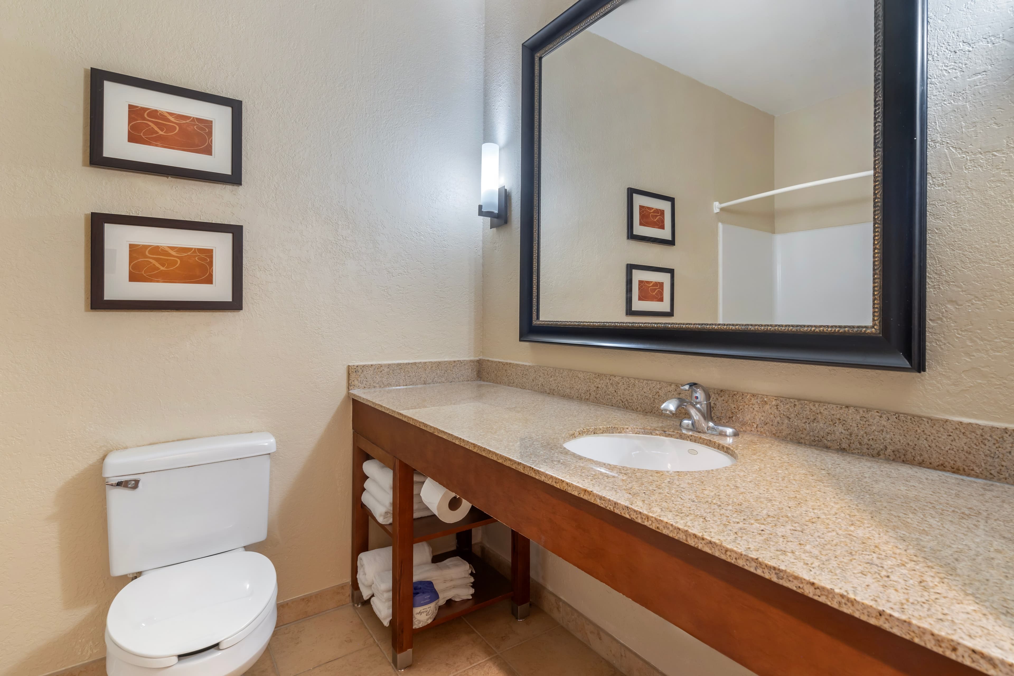Comfort Suites McKinney-Allen — 21
