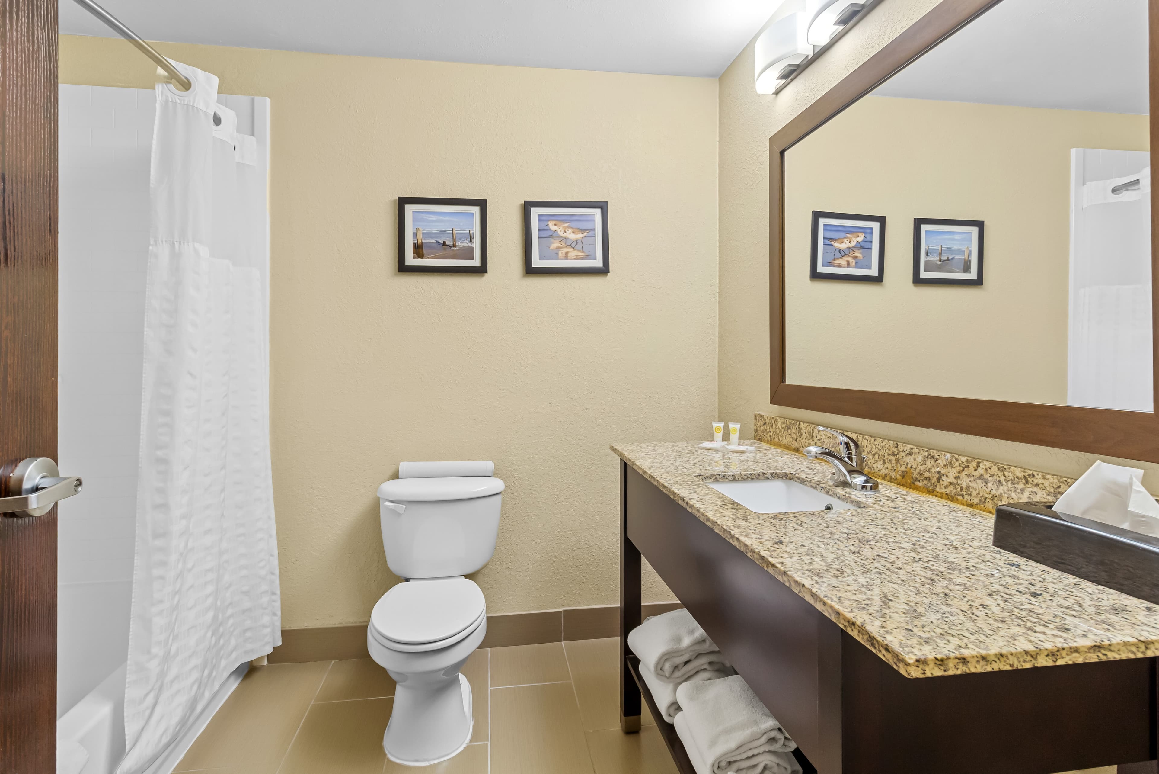 Comfort Suites Lake Jackson Clute - Image 5