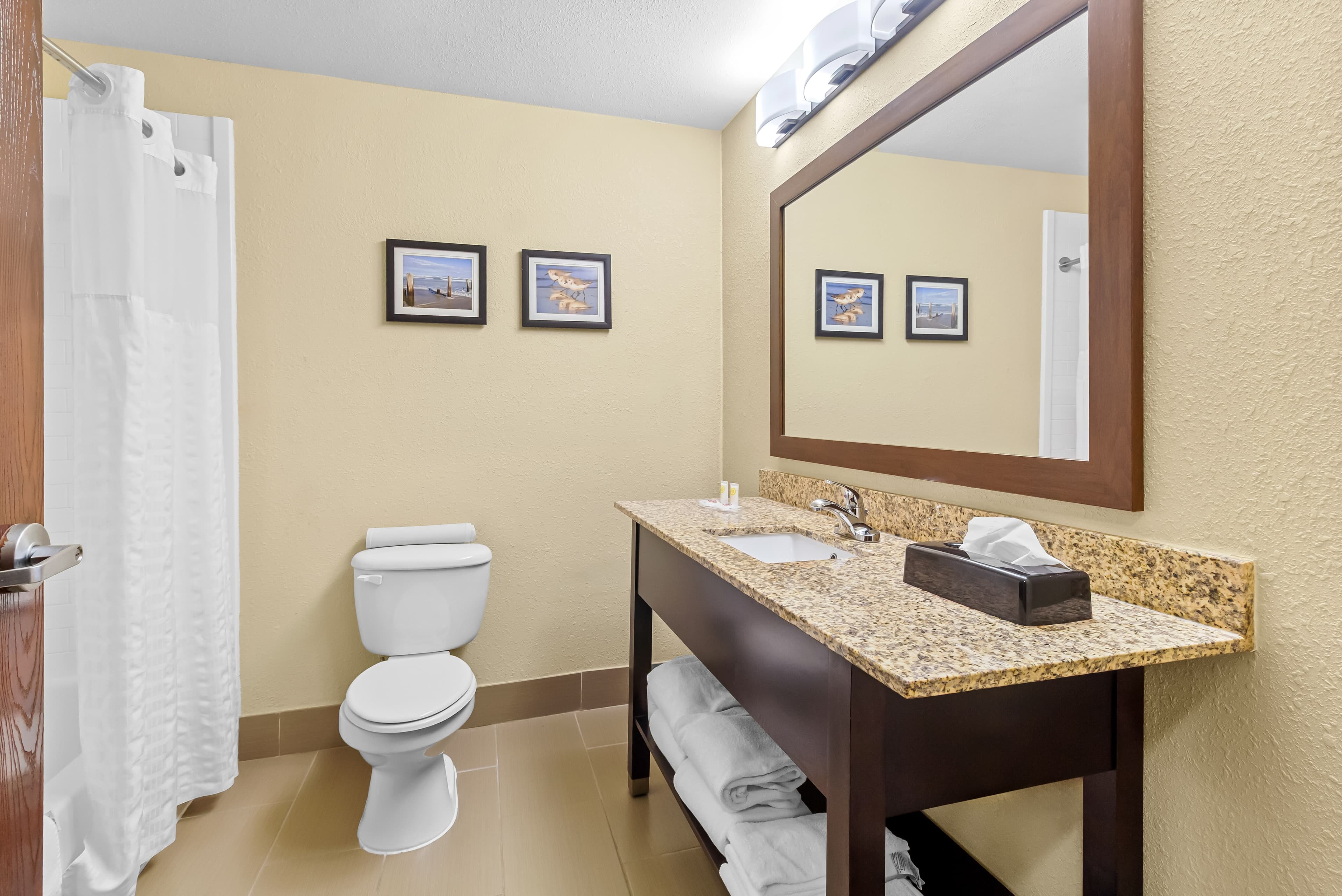 Comfort Suites Lake Jackson Clute — 10