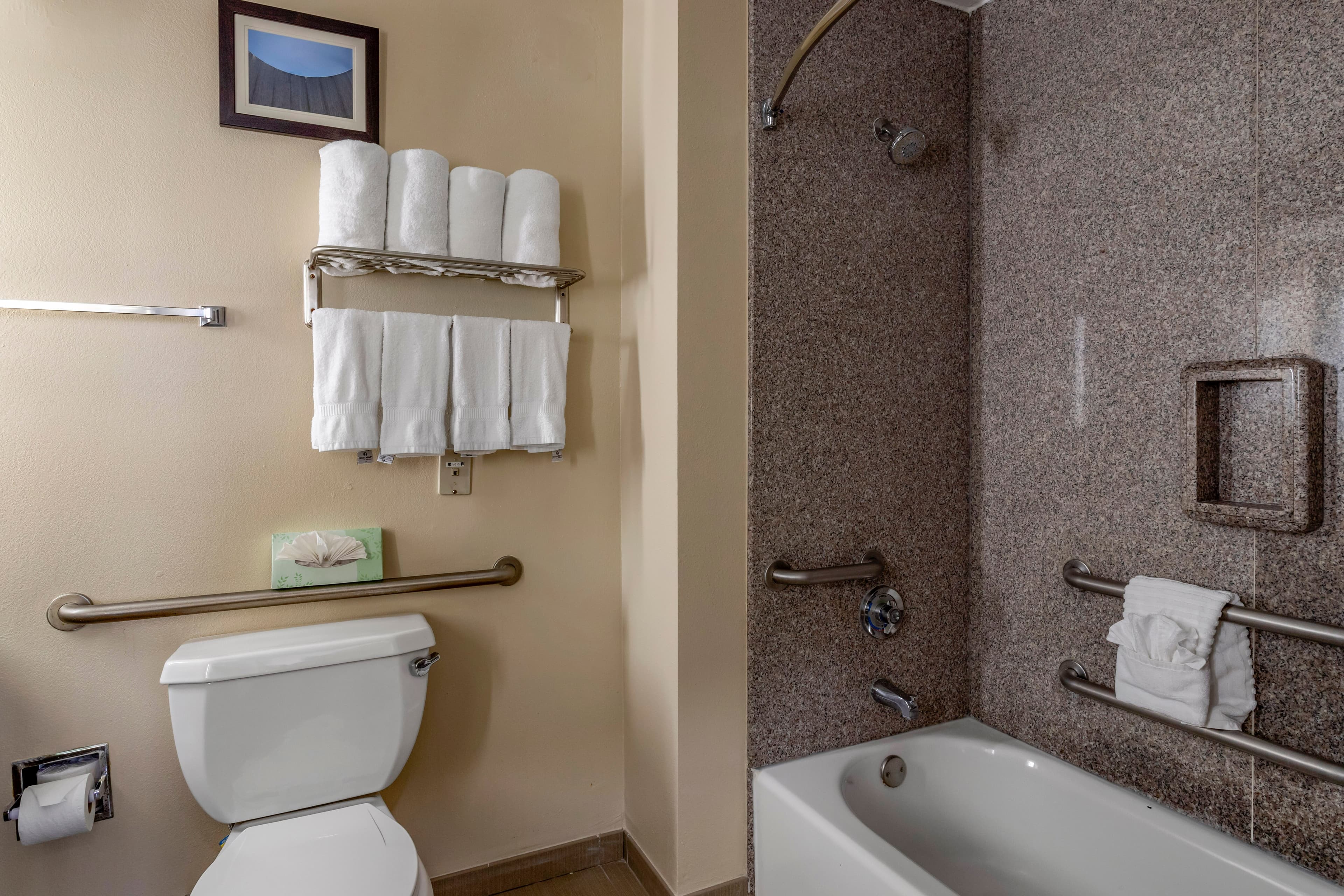 Comfort Suites Houston near Medical Center- NRG Stadium — 13
