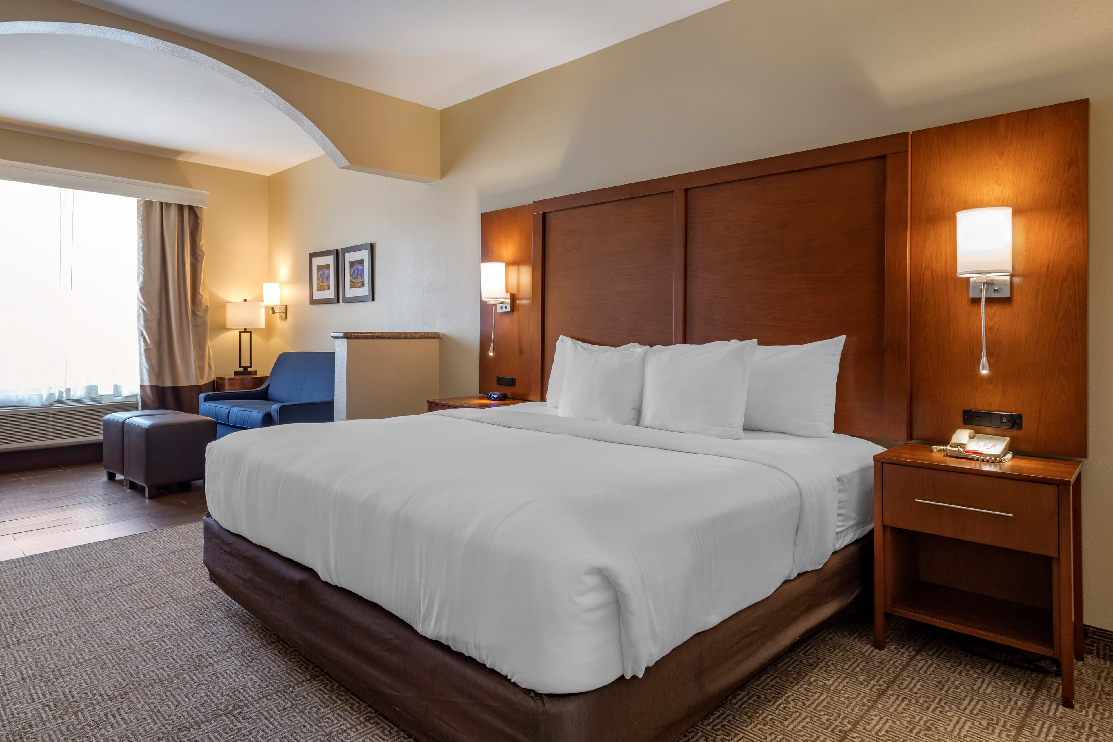 Comfort Suites Houston near Medical Center- NRG Stadium — 18