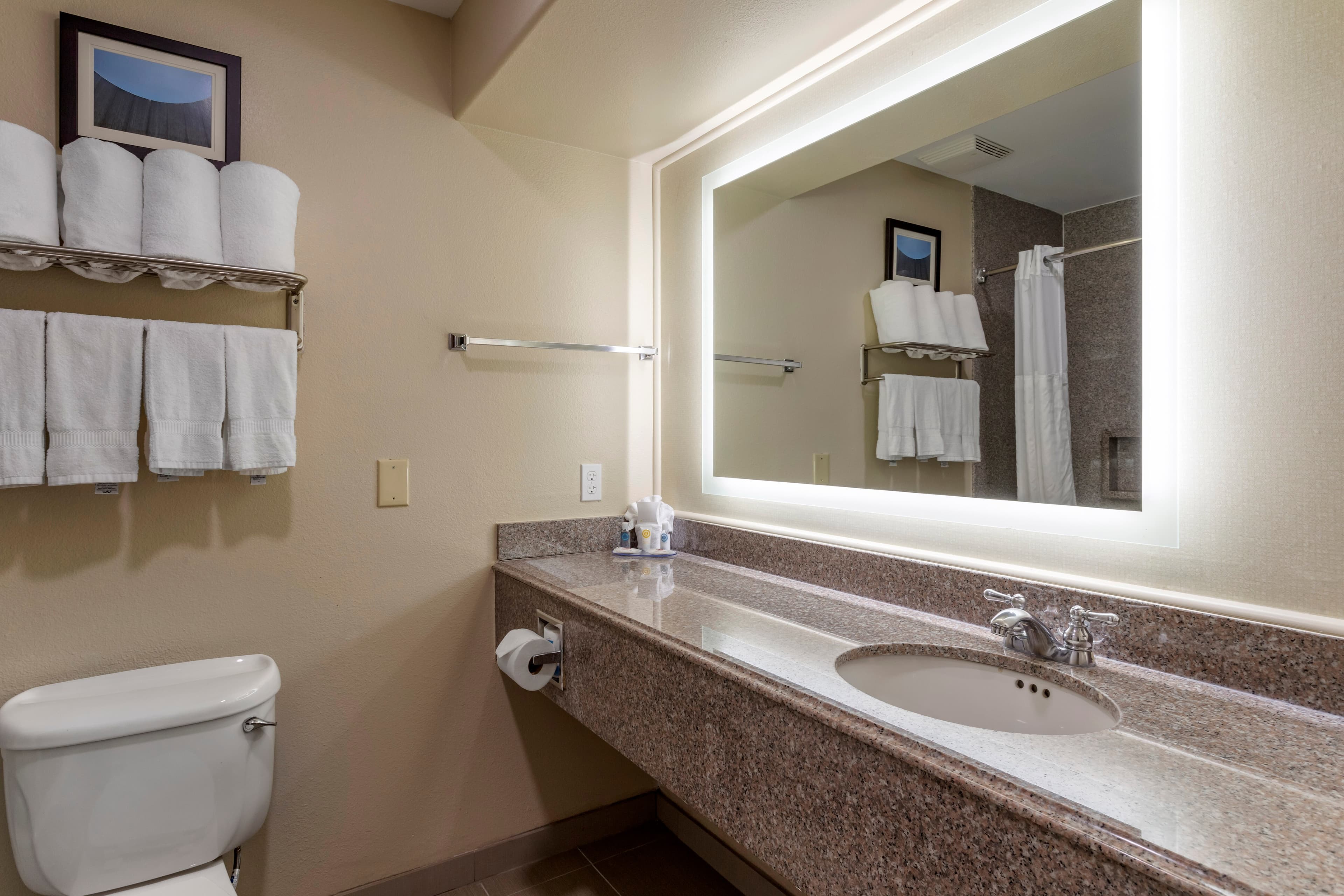 Comfort Suites Houston near Medical Center- NRG Stadium — 21