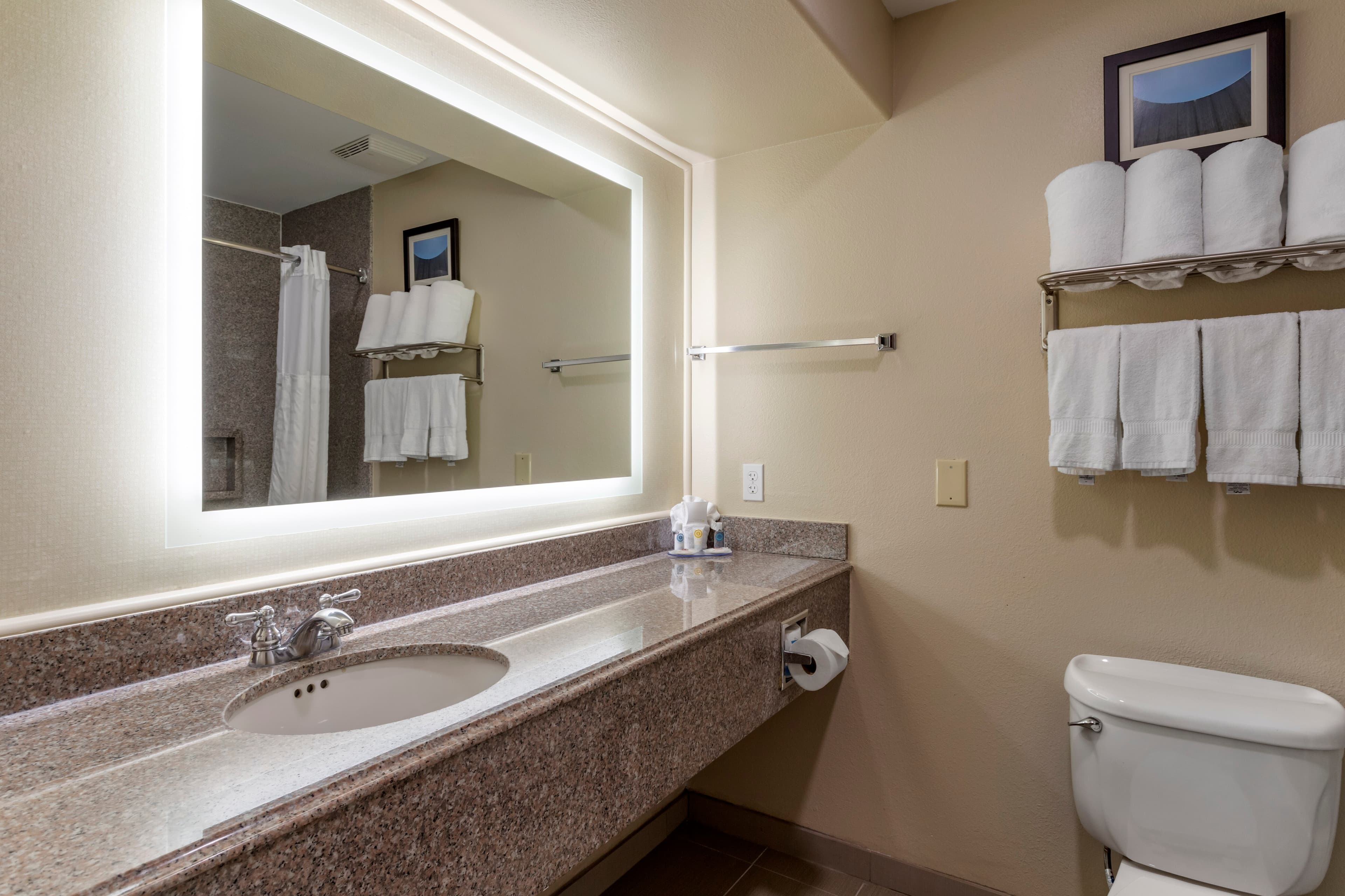 Comfort Suites Houston near Medical Center- NRG Stadium — 25