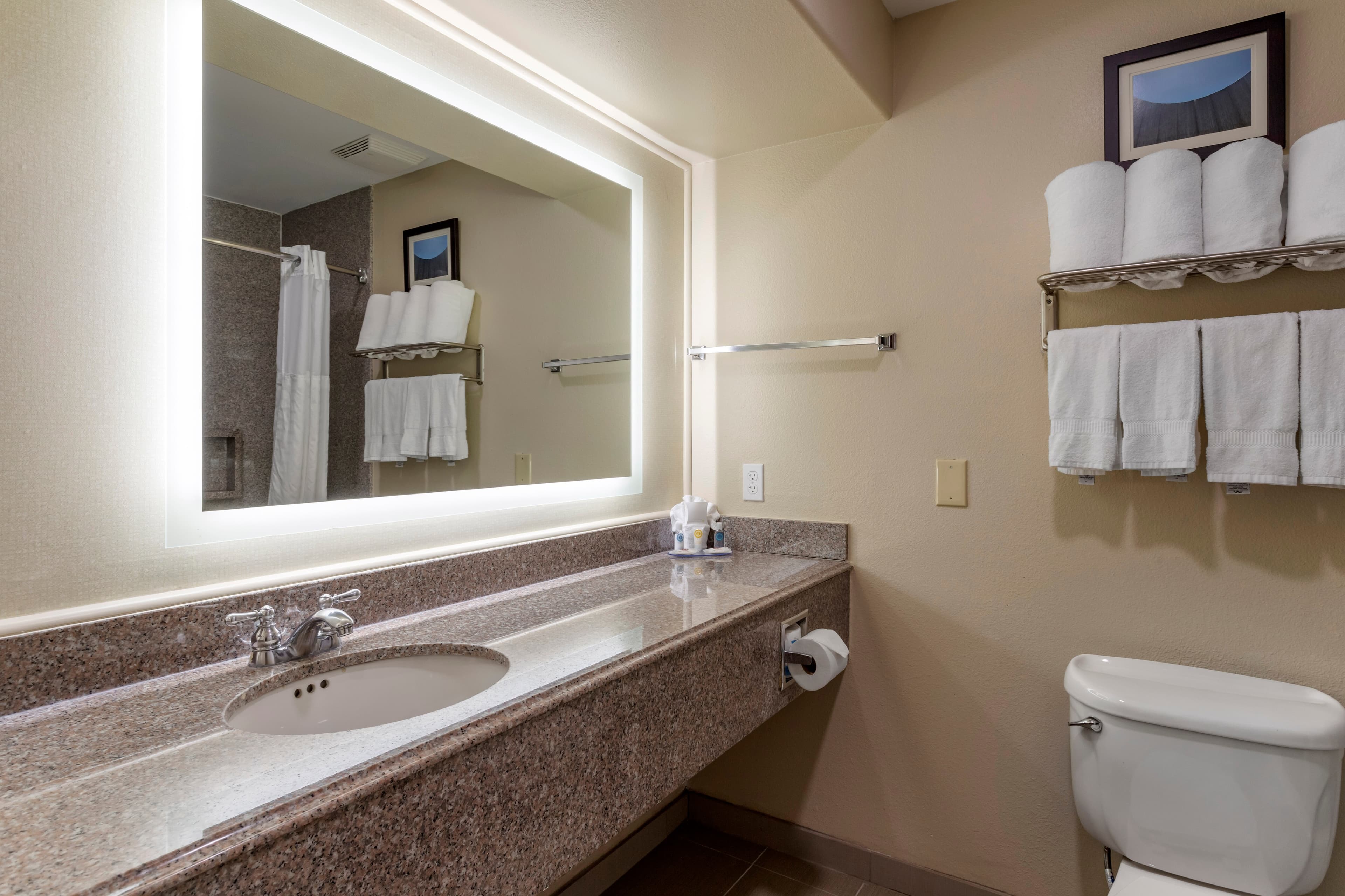 Comfort Suites Houston near Medical Center- NRG Stadium — 29