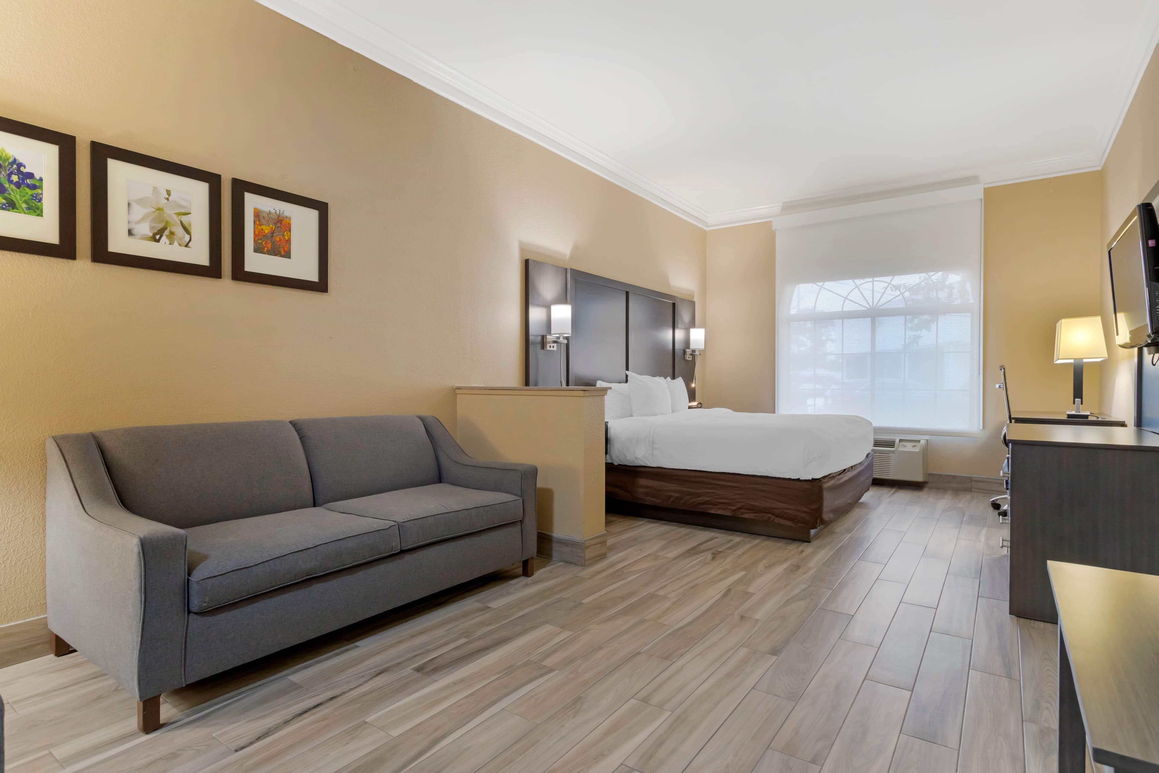 Comfort Suites Kingwood Houston North - Image 4