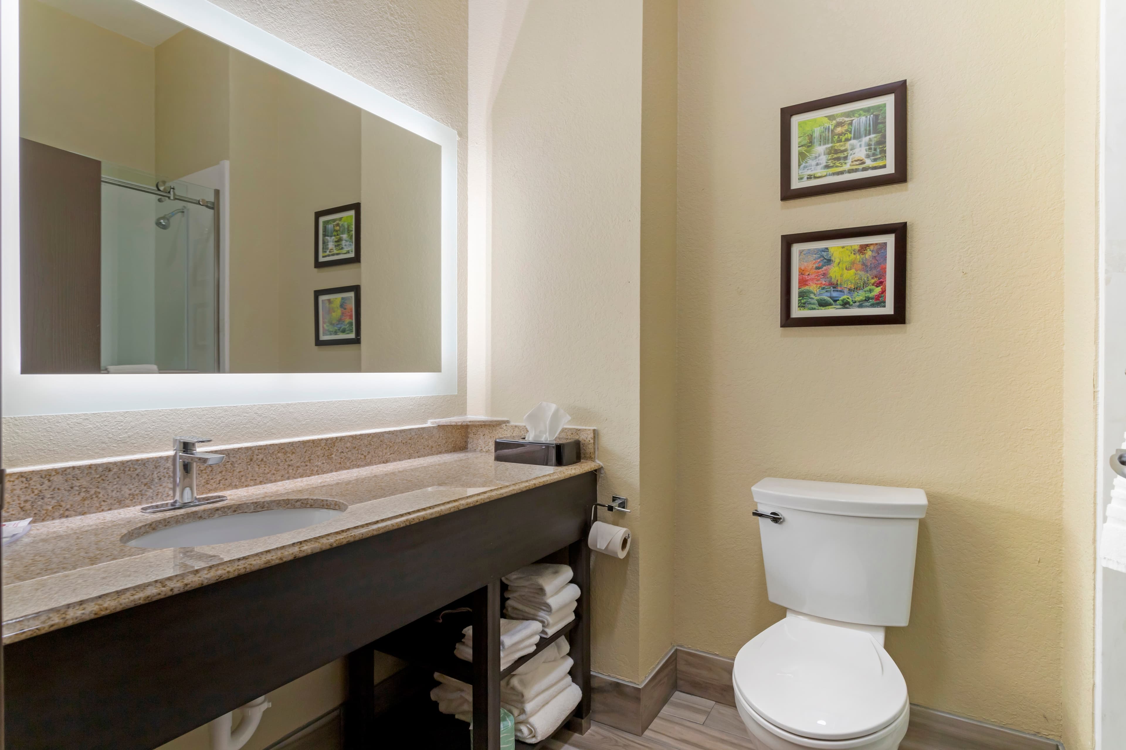 Comfort Suites Kingwood Houston North - Image 5