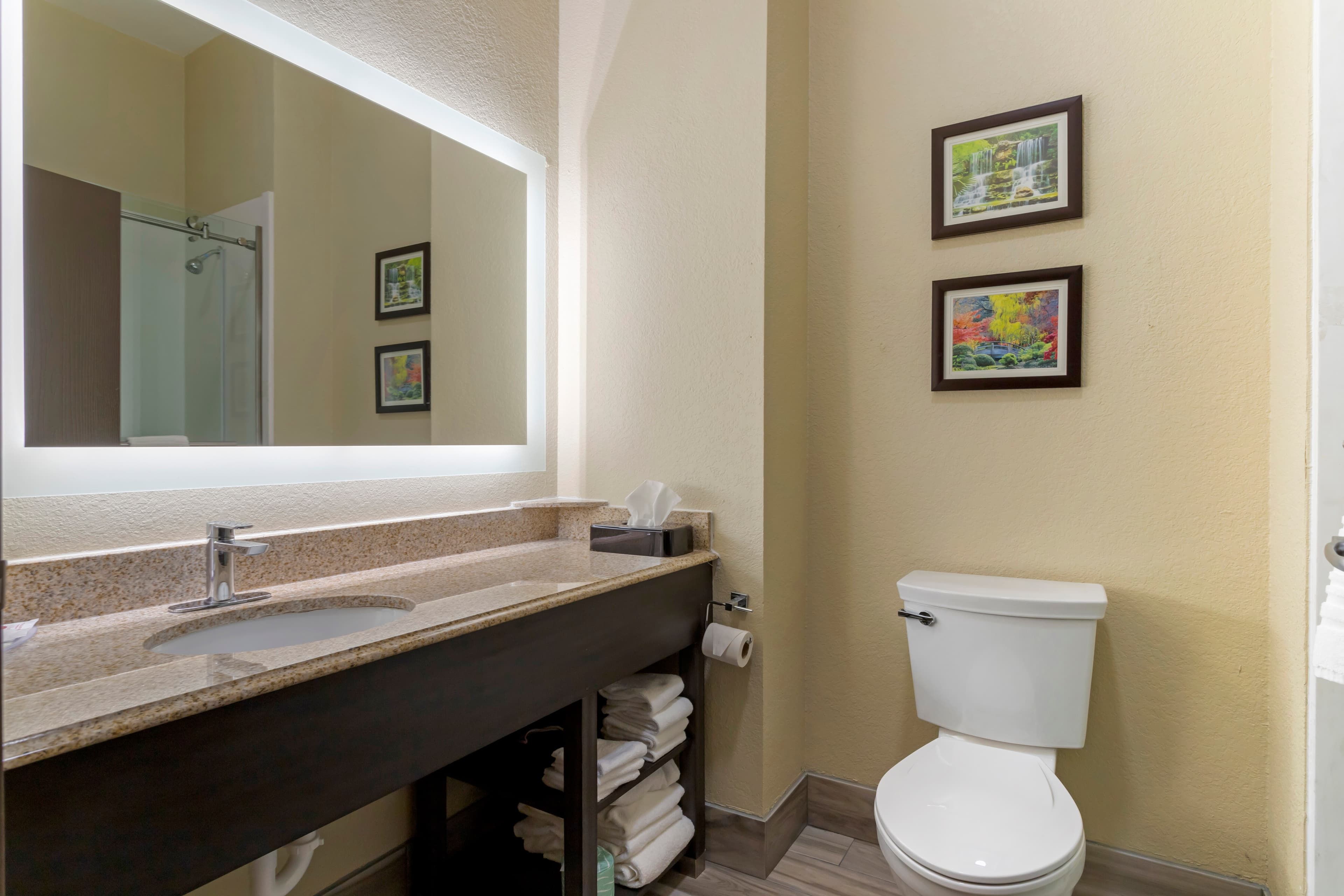 Comfort Suites Kingwood Houston North — 19