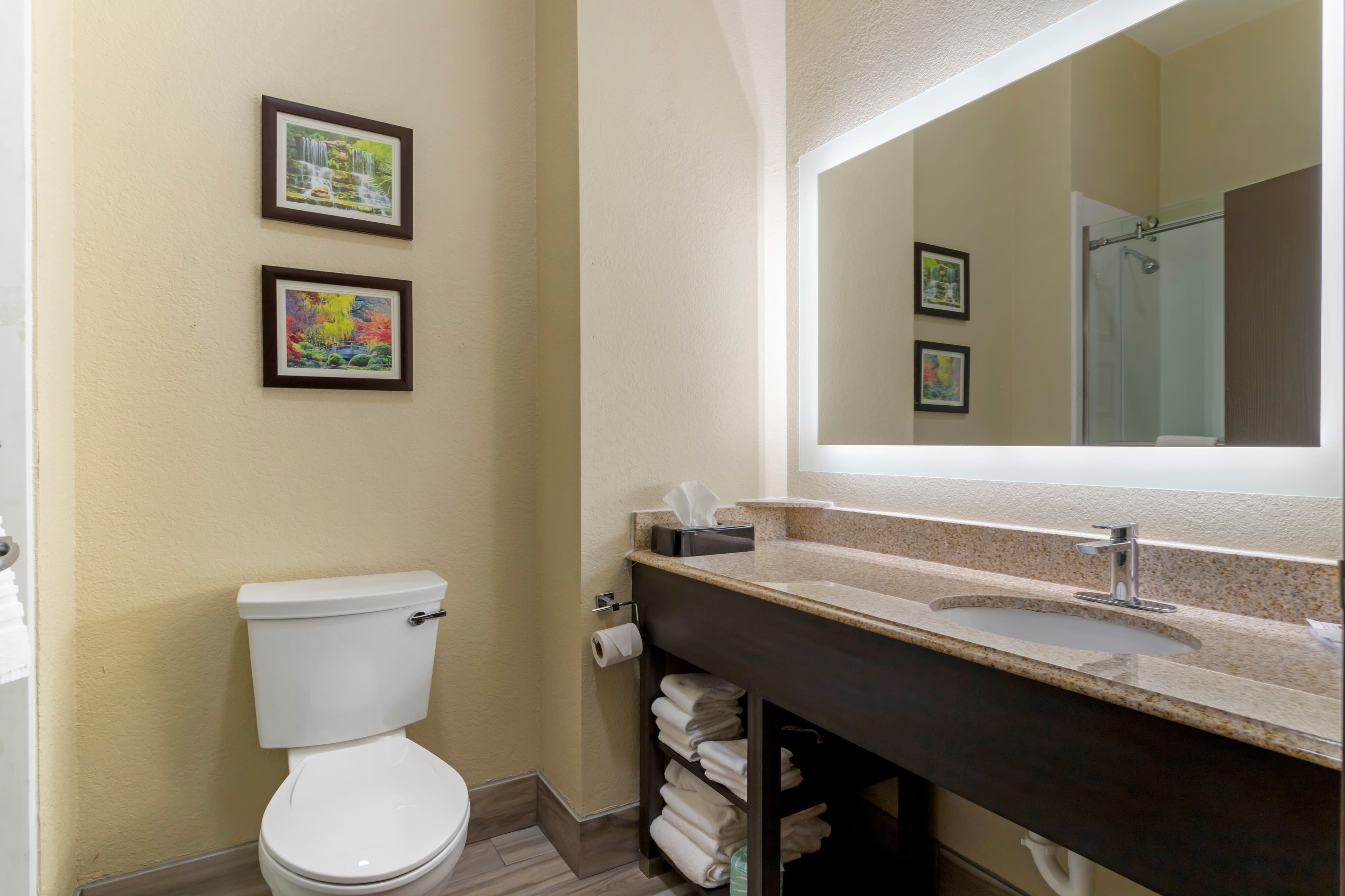 Comfort Suites Kingwood Houston North — 9