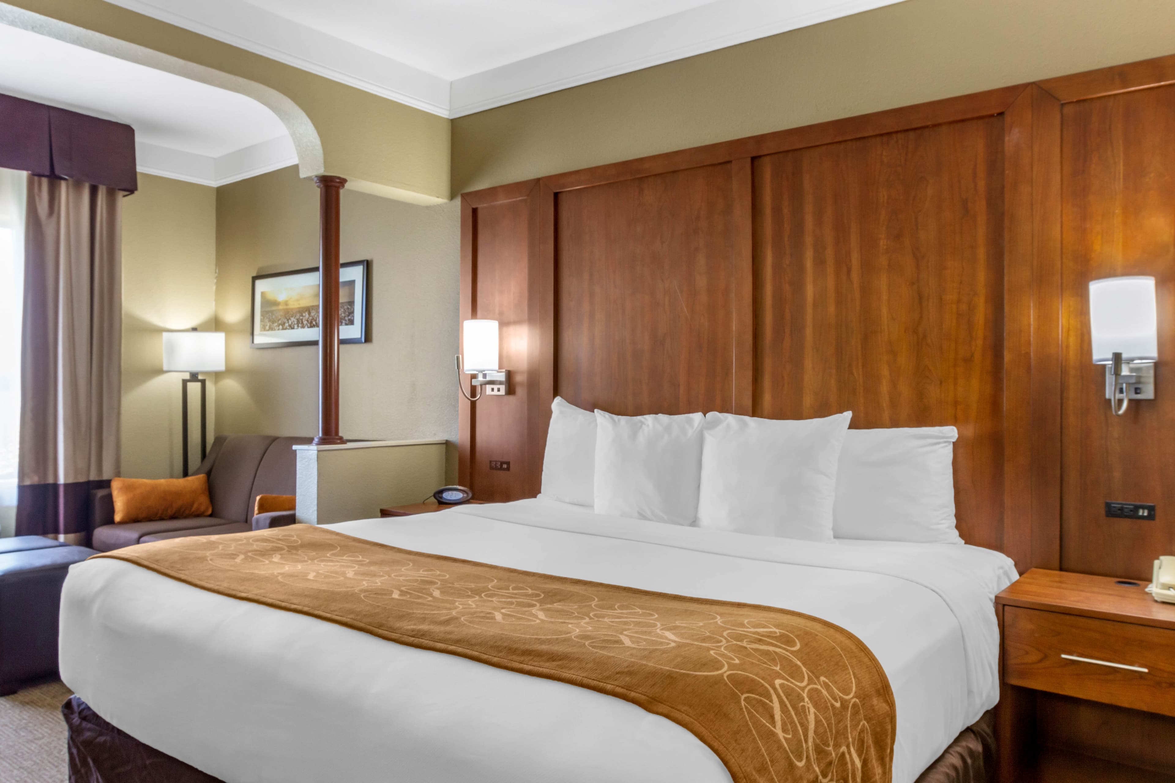 Comfort Suites Plainview — 12