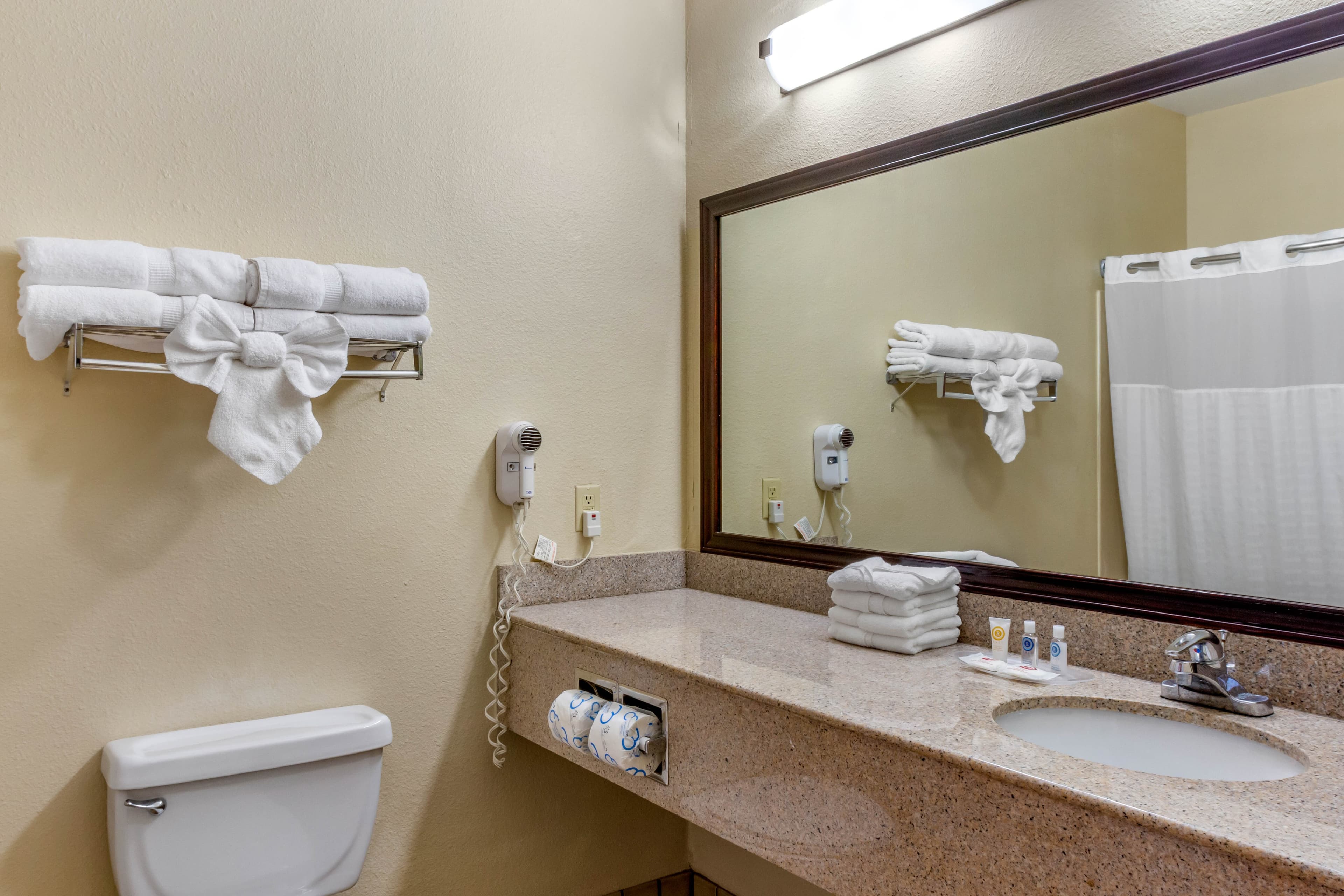 Comfort Suites Plainview — 15