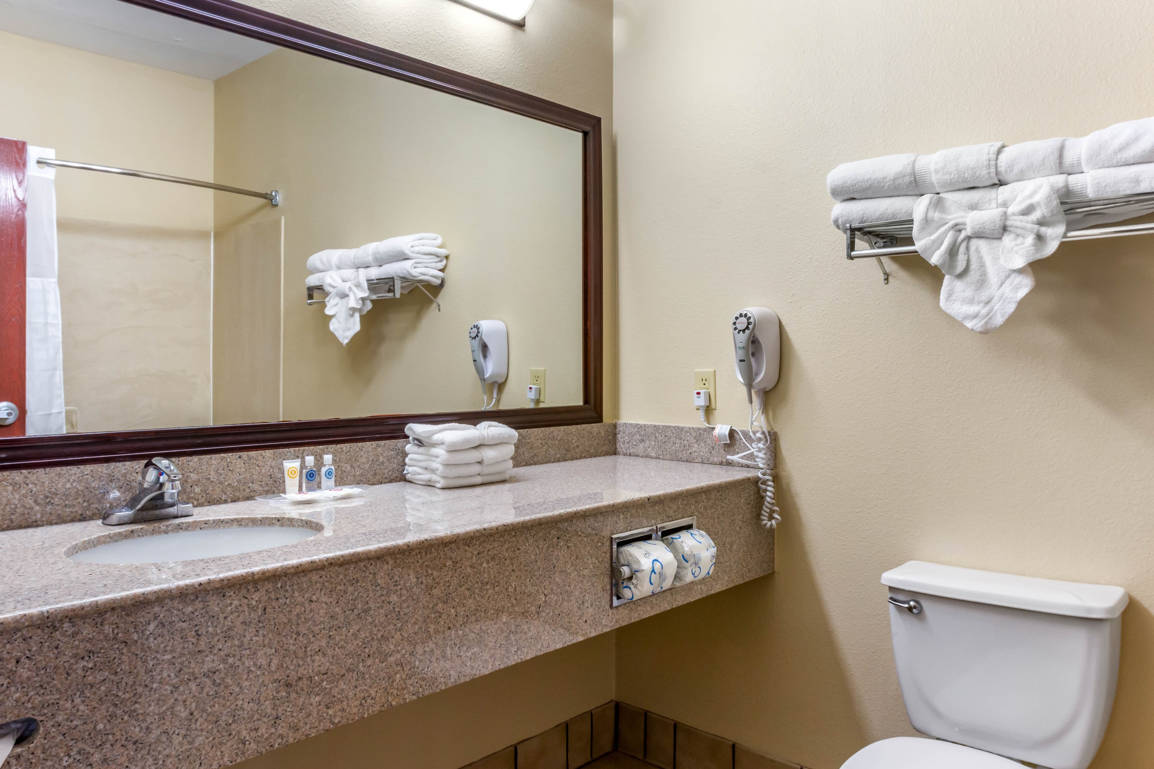 Comfort Suites Plainview — 19