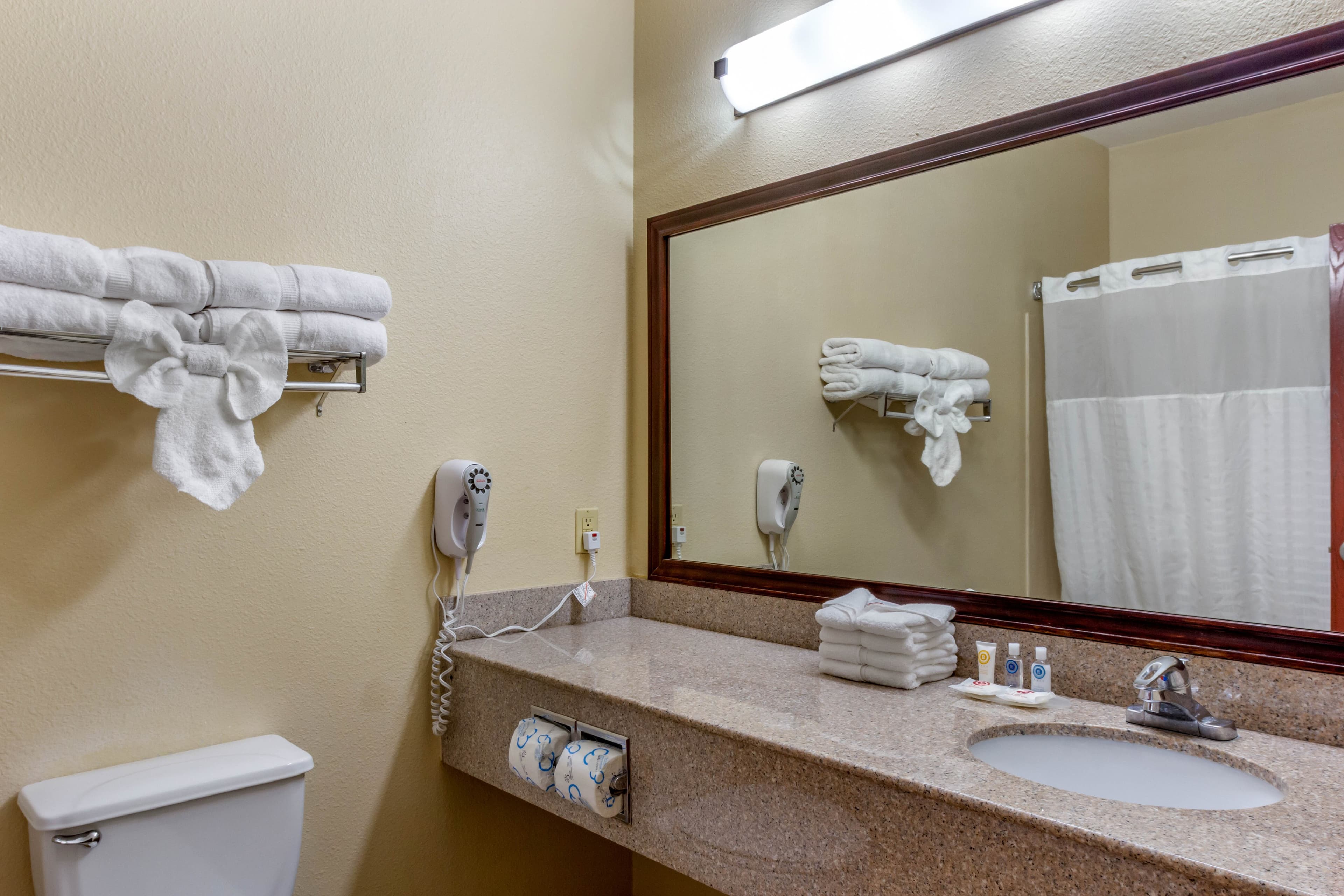 Comfort Suites Plainview — 7