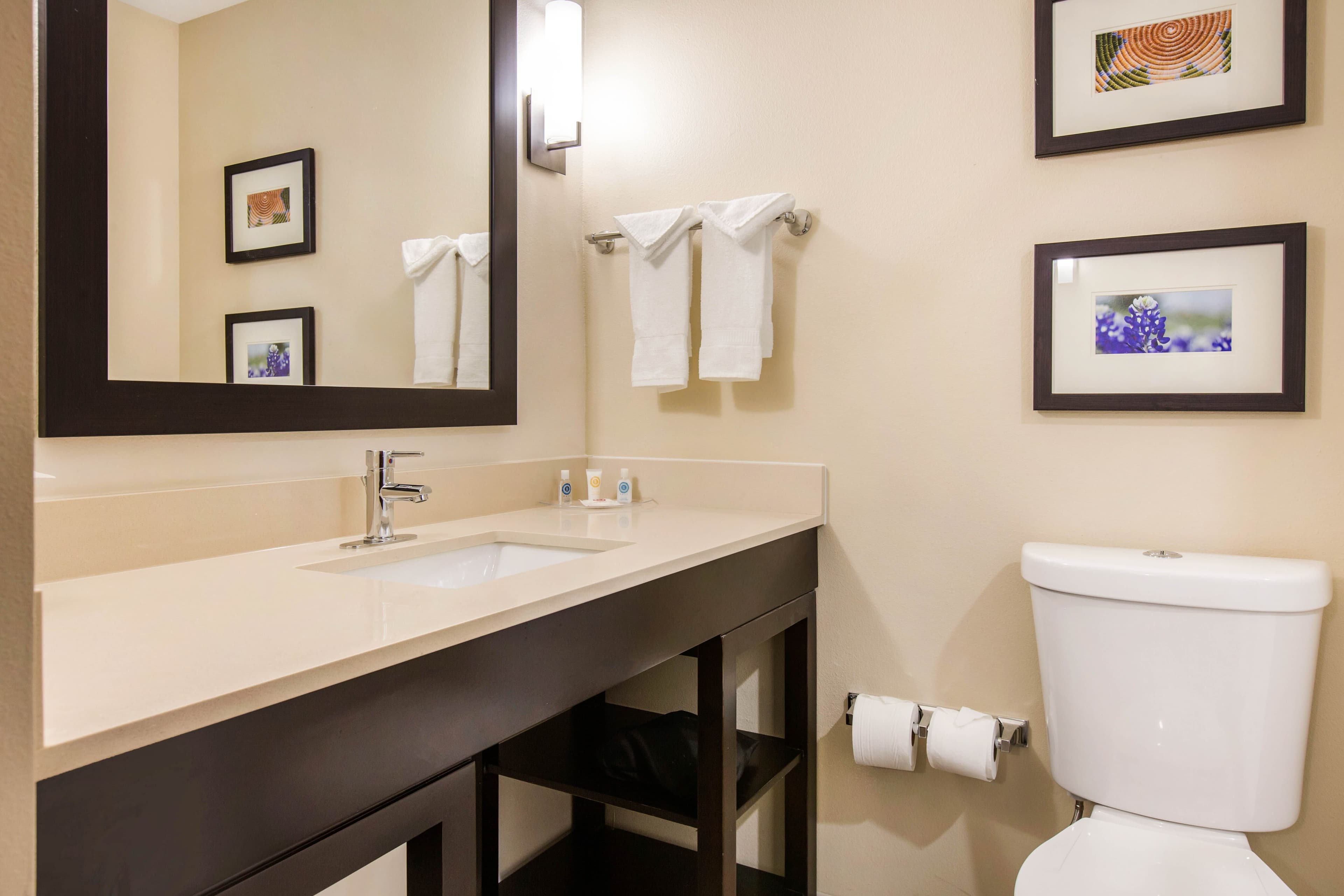 Comfort Suites - South Austin — 6