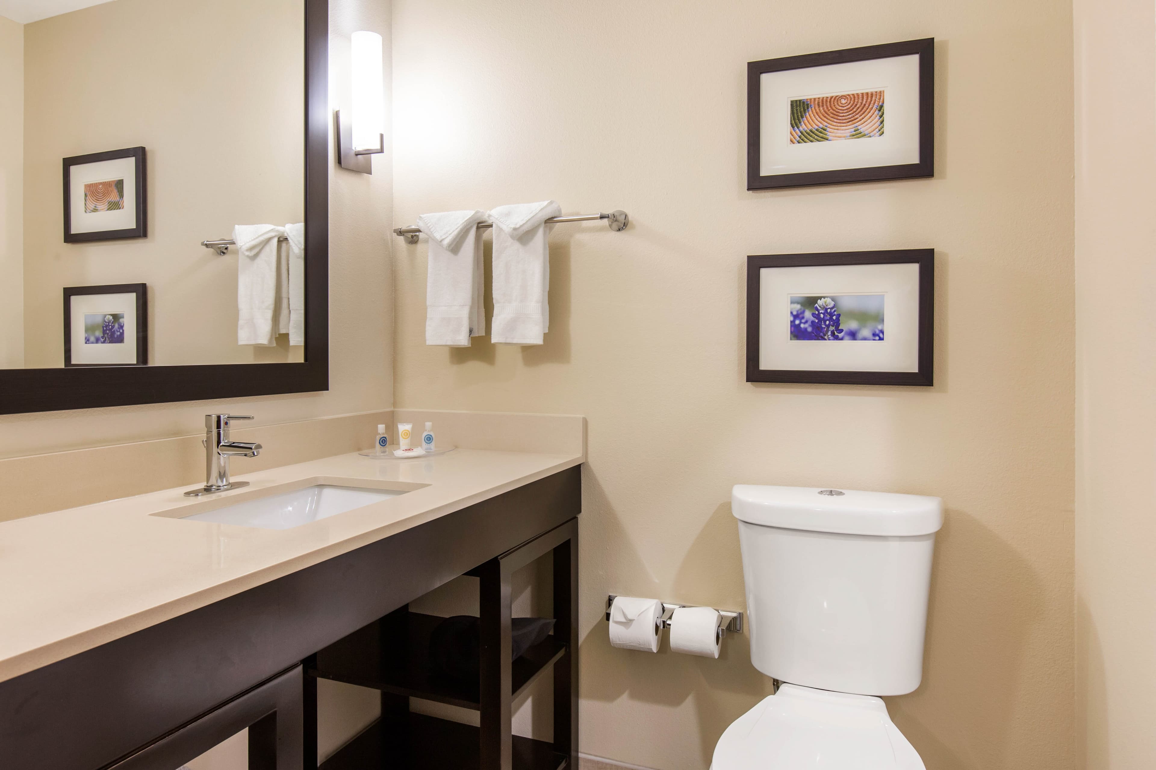 Comfort Suites - South Austin — 16