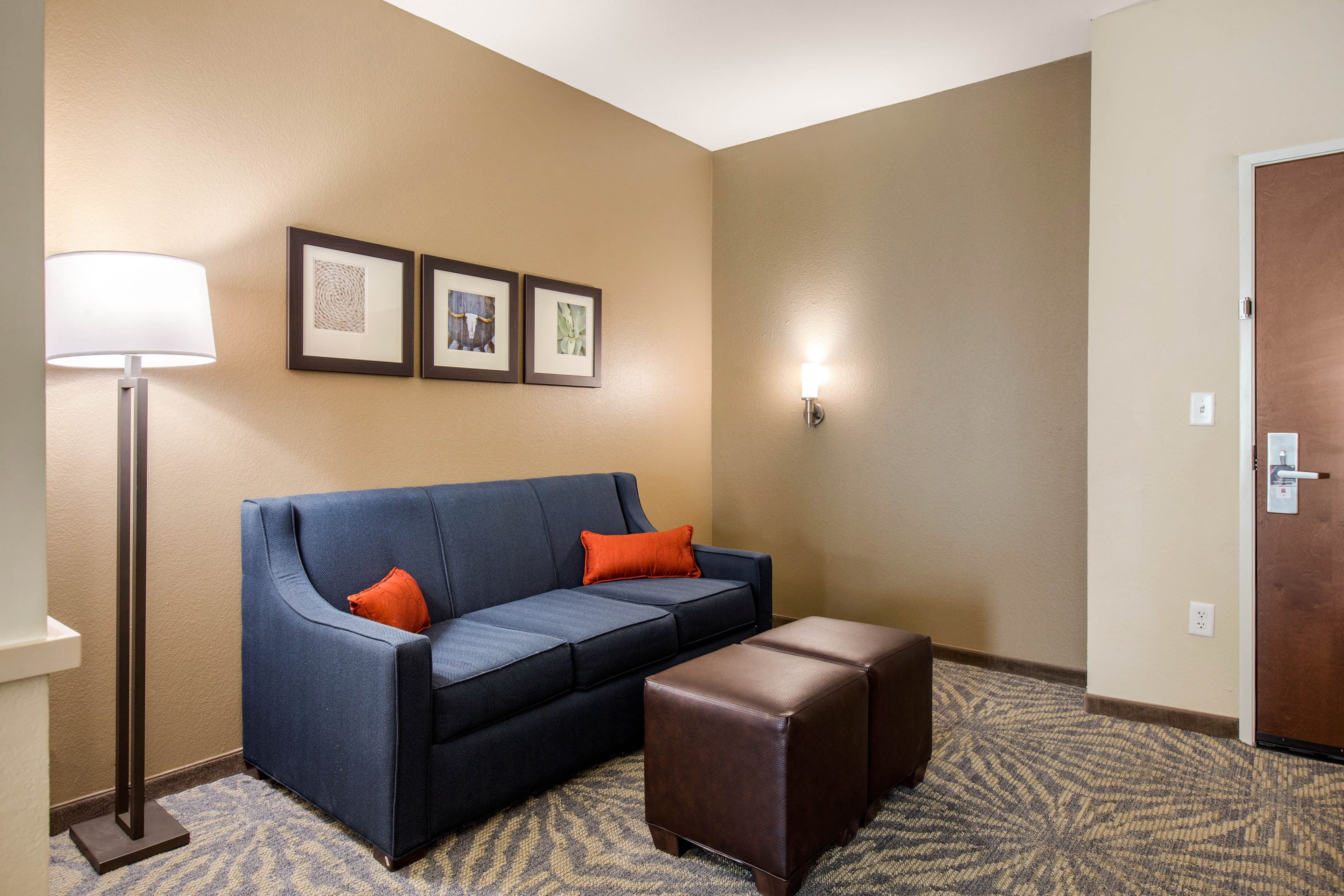 Comfort Suites - South Austin — 30