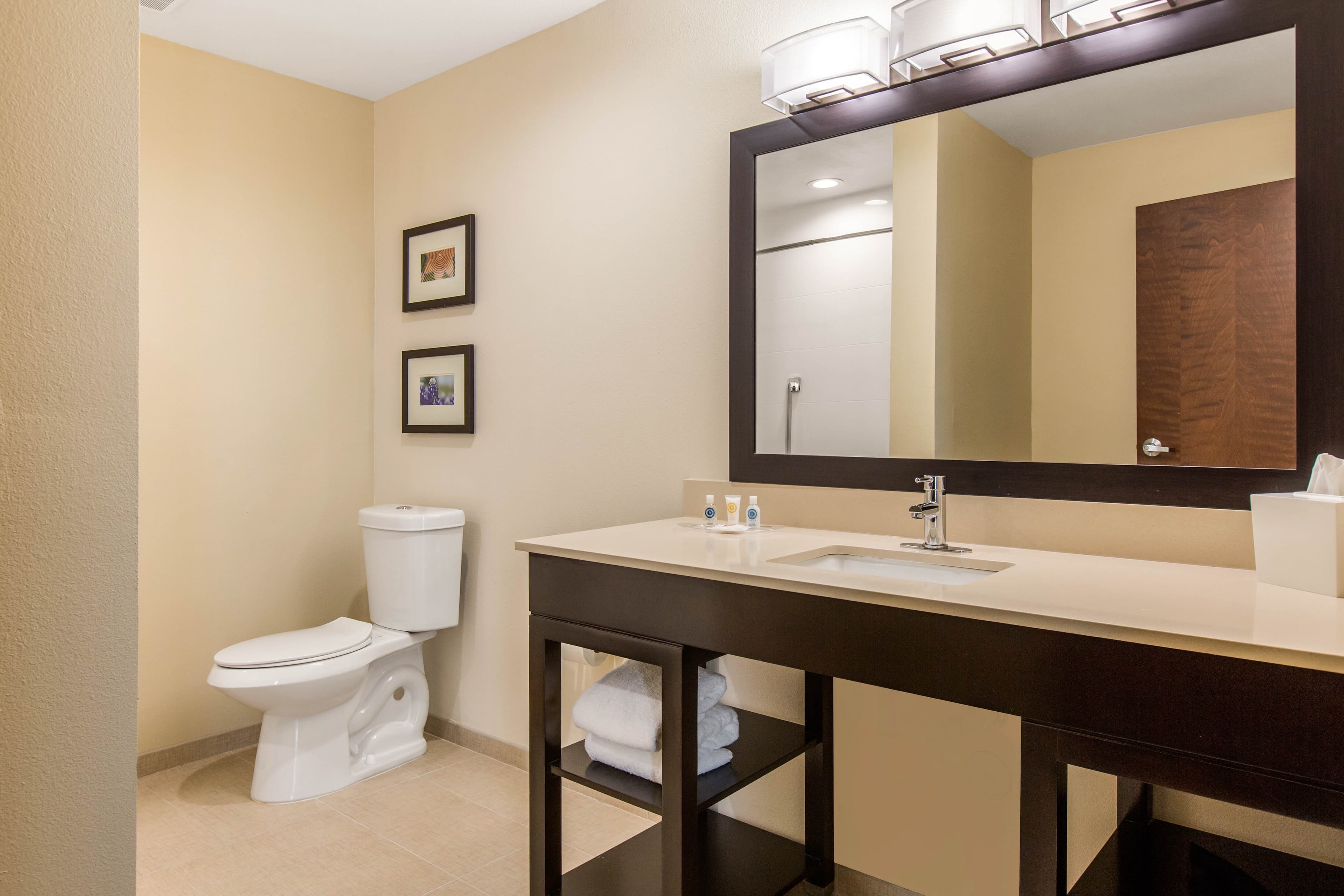 Comfort Suites - South Austin — 32