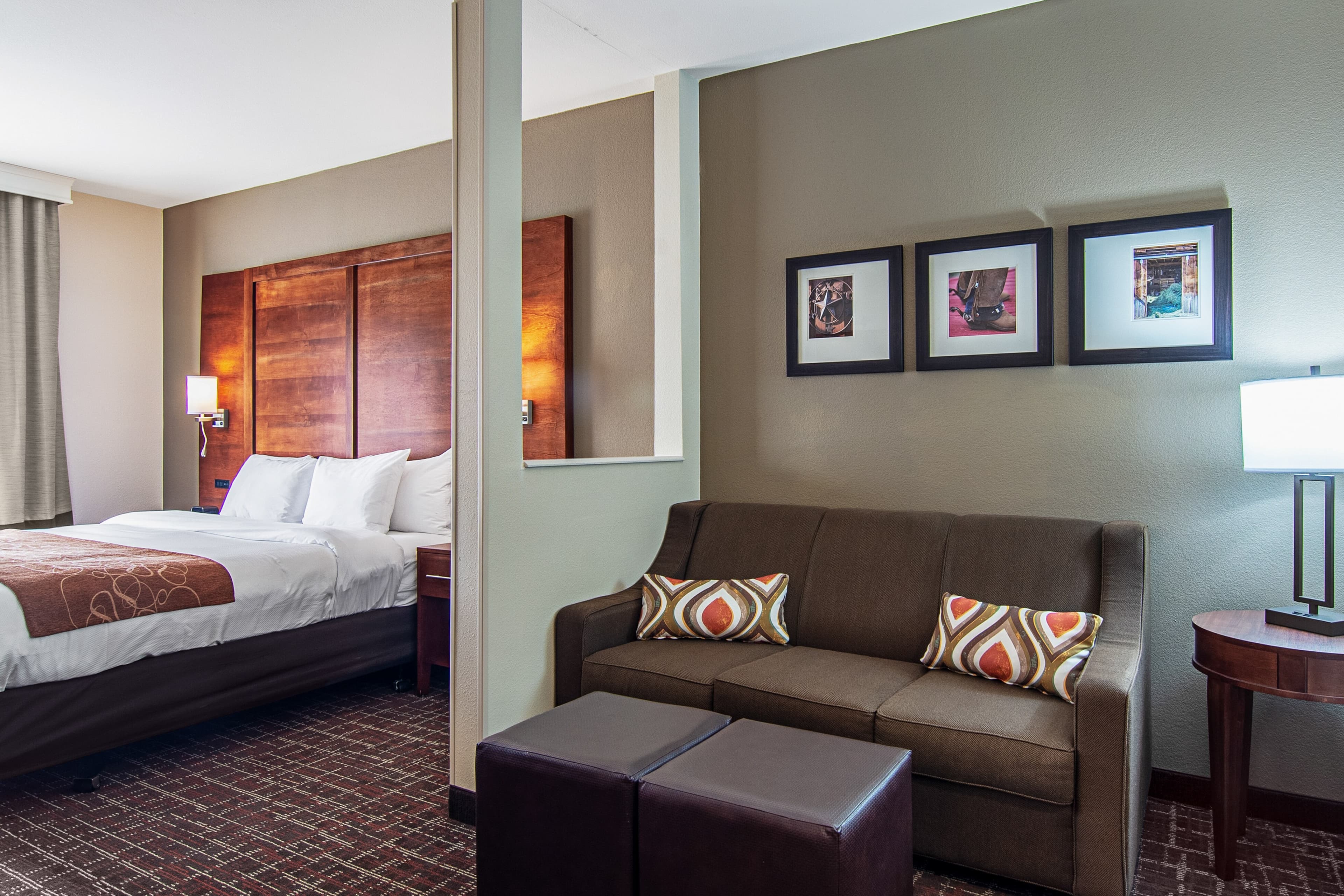 Comfort Suites NW Dallas Near Love Field - Image 2