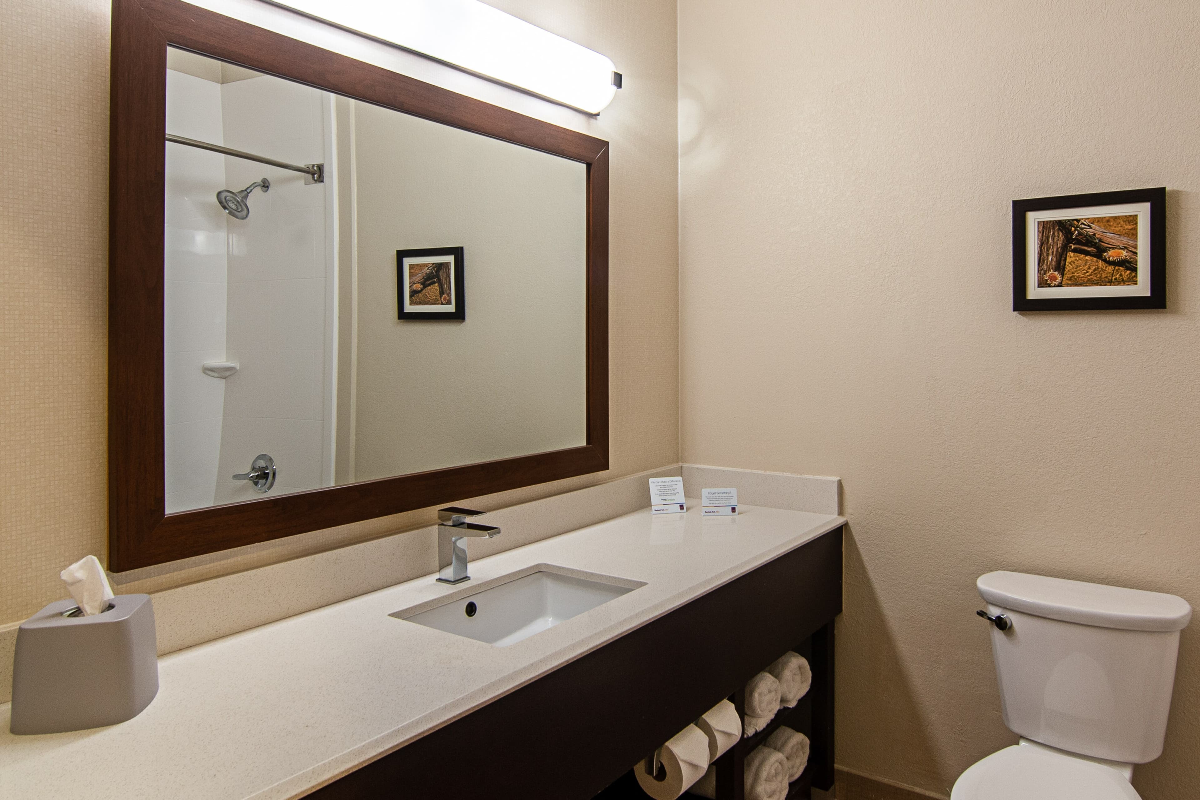 Comfort Suites NW Dallas Near Love Field — 14