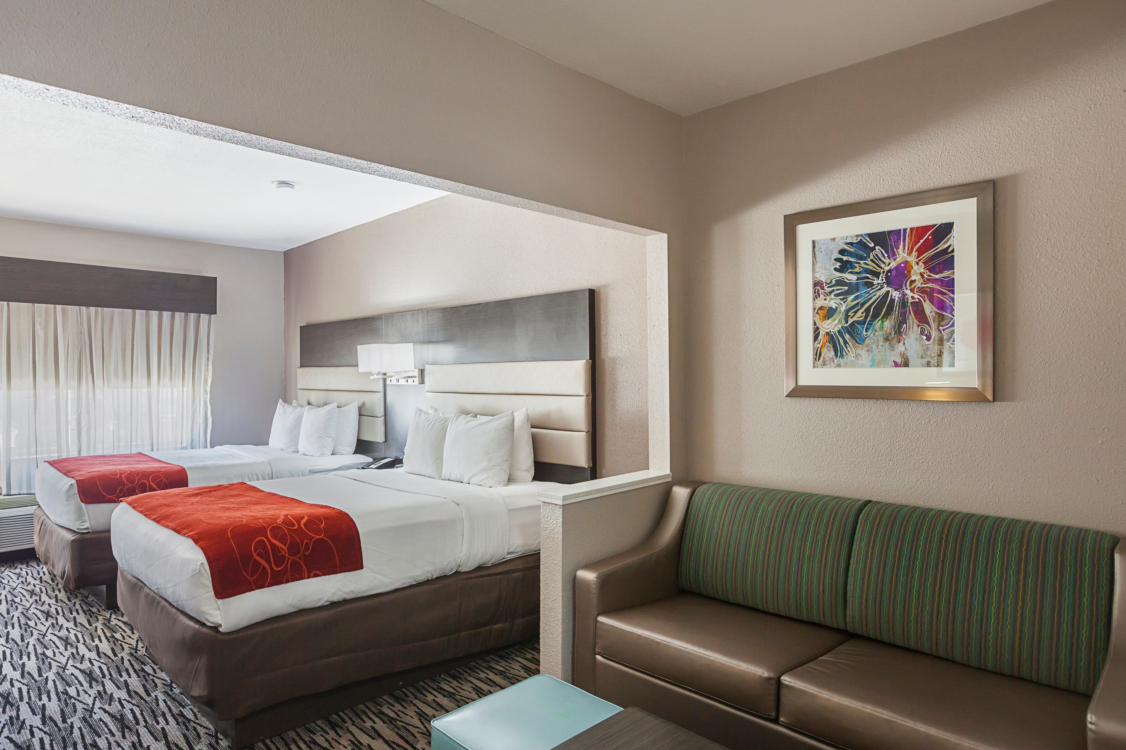 Comfort Suites Lewisville - Dallas - Image 4