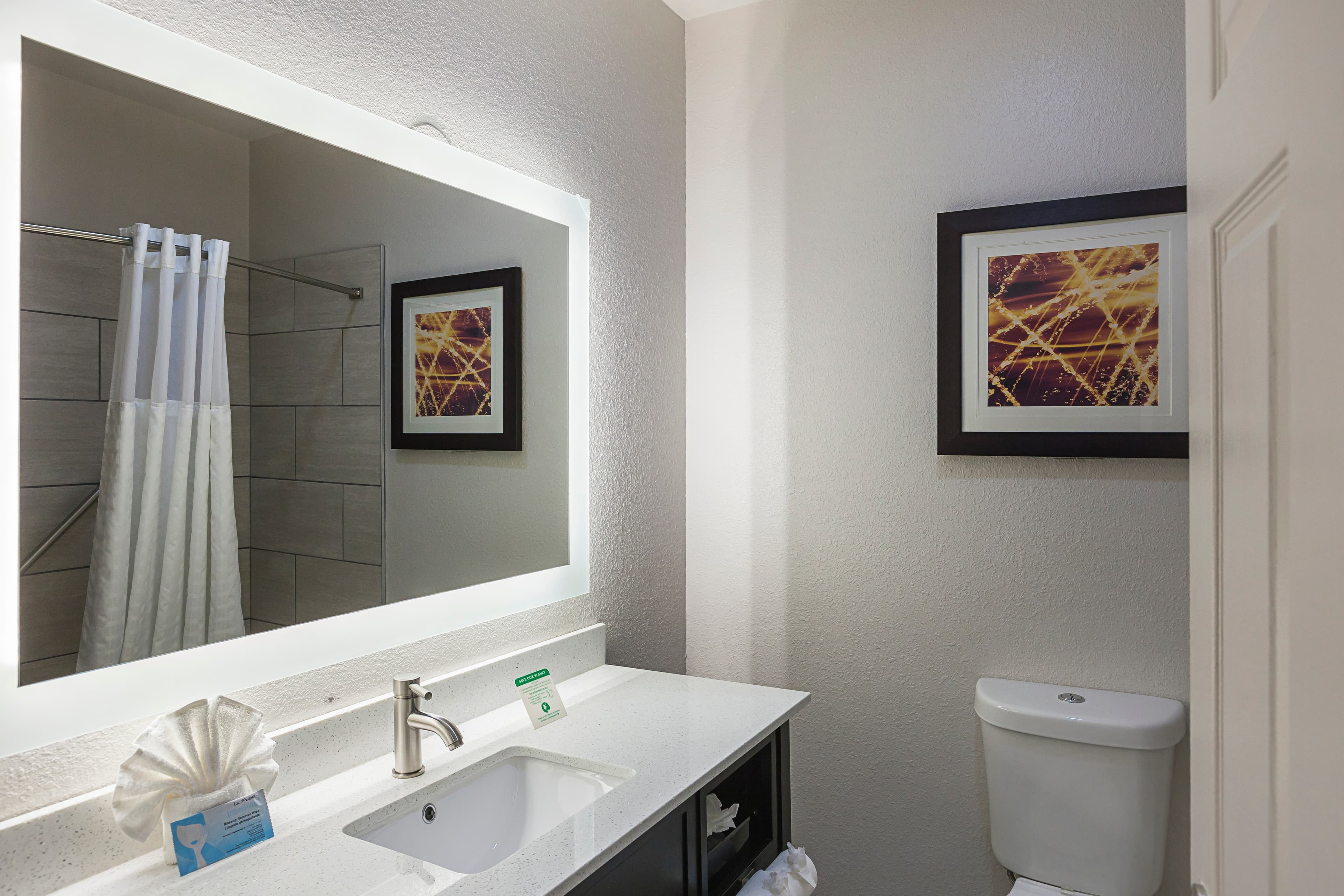 Comfort Suites Lewisville - Dallas - Image 3
