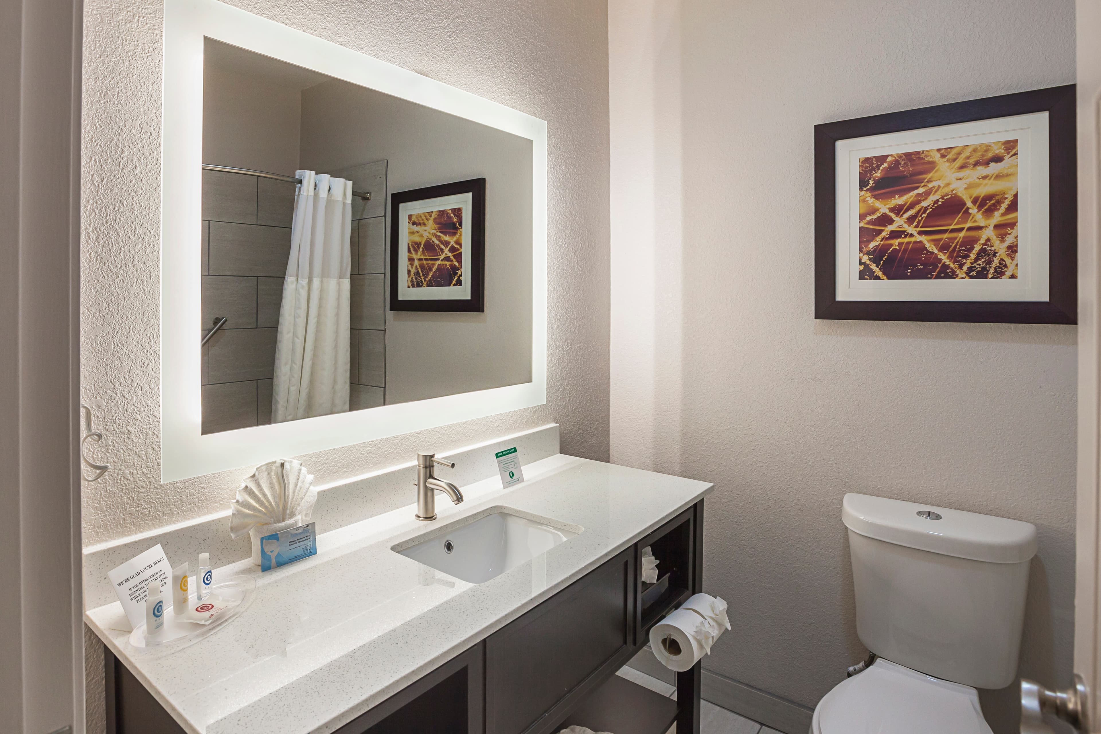 Comfort Suites Lewisville - Dallas — 19