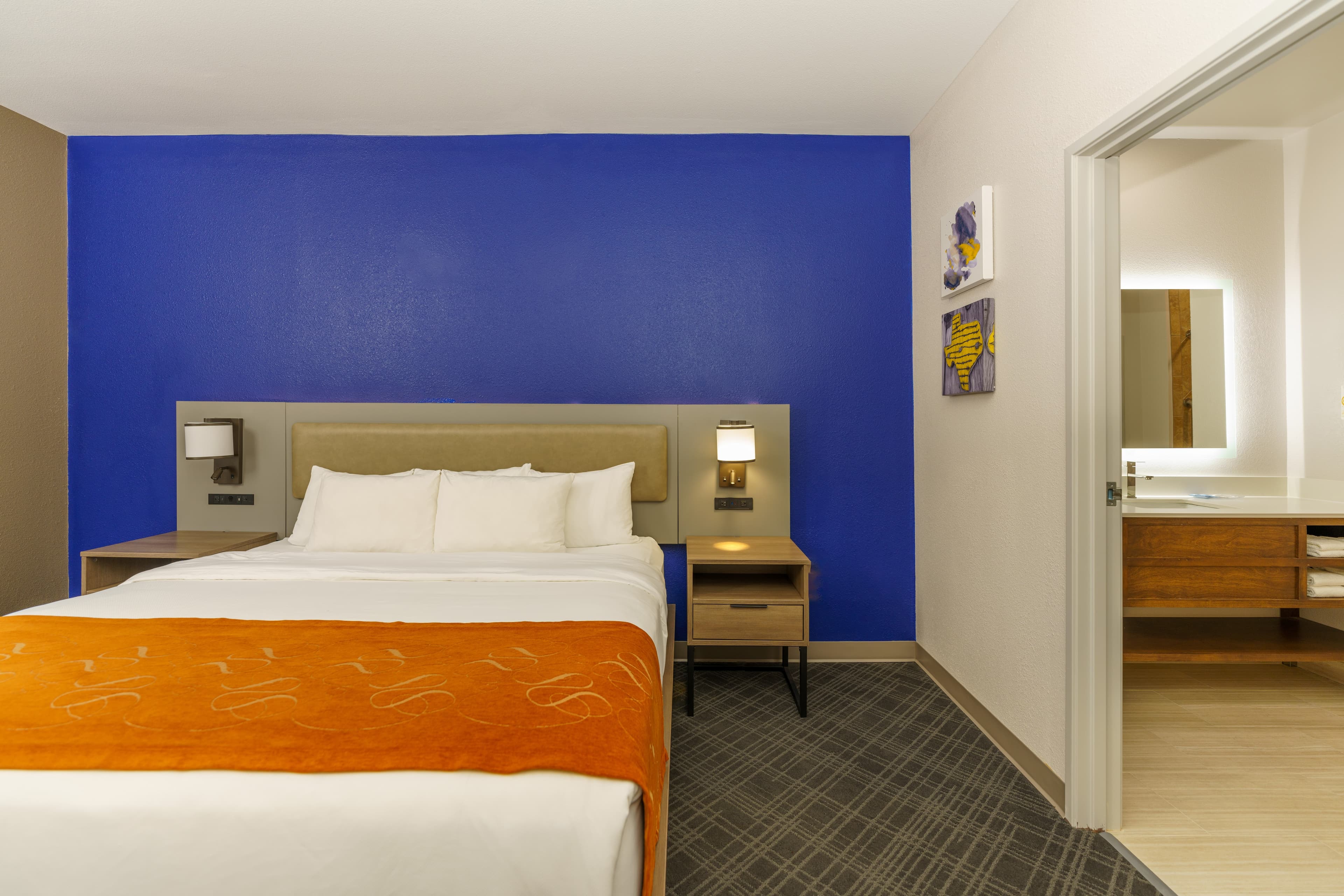 Comfort Suites University Drive — 19