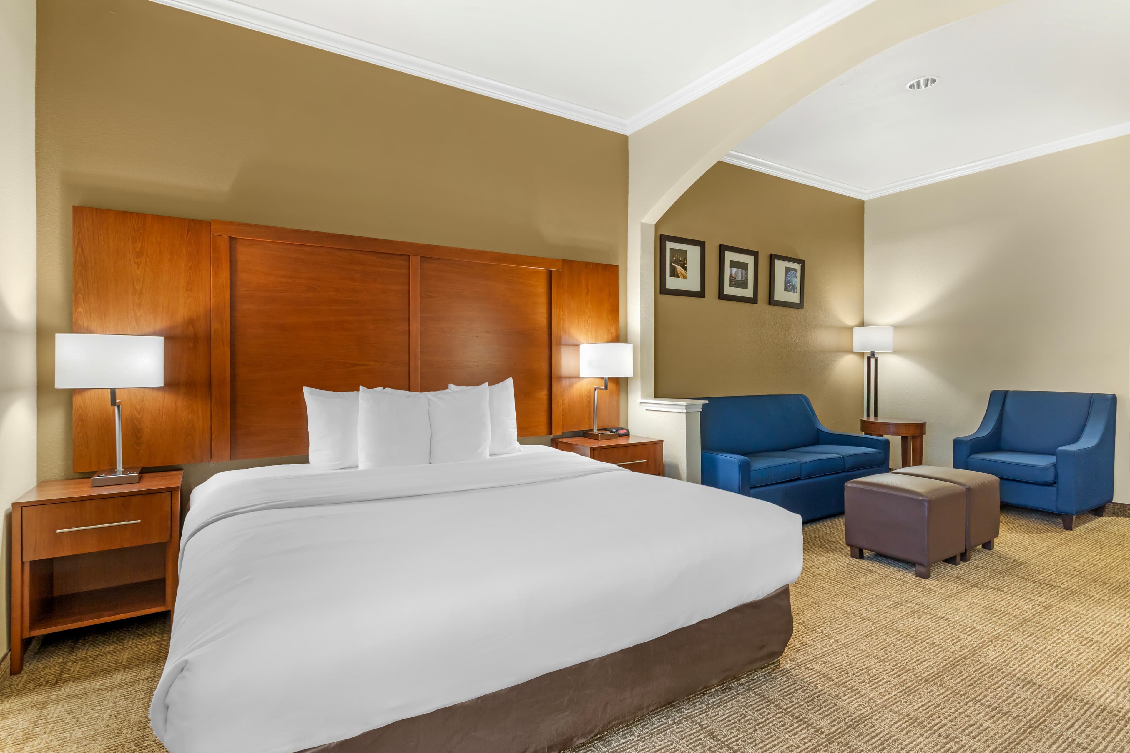 Comfort Suites Deer Park Pasadena — 7