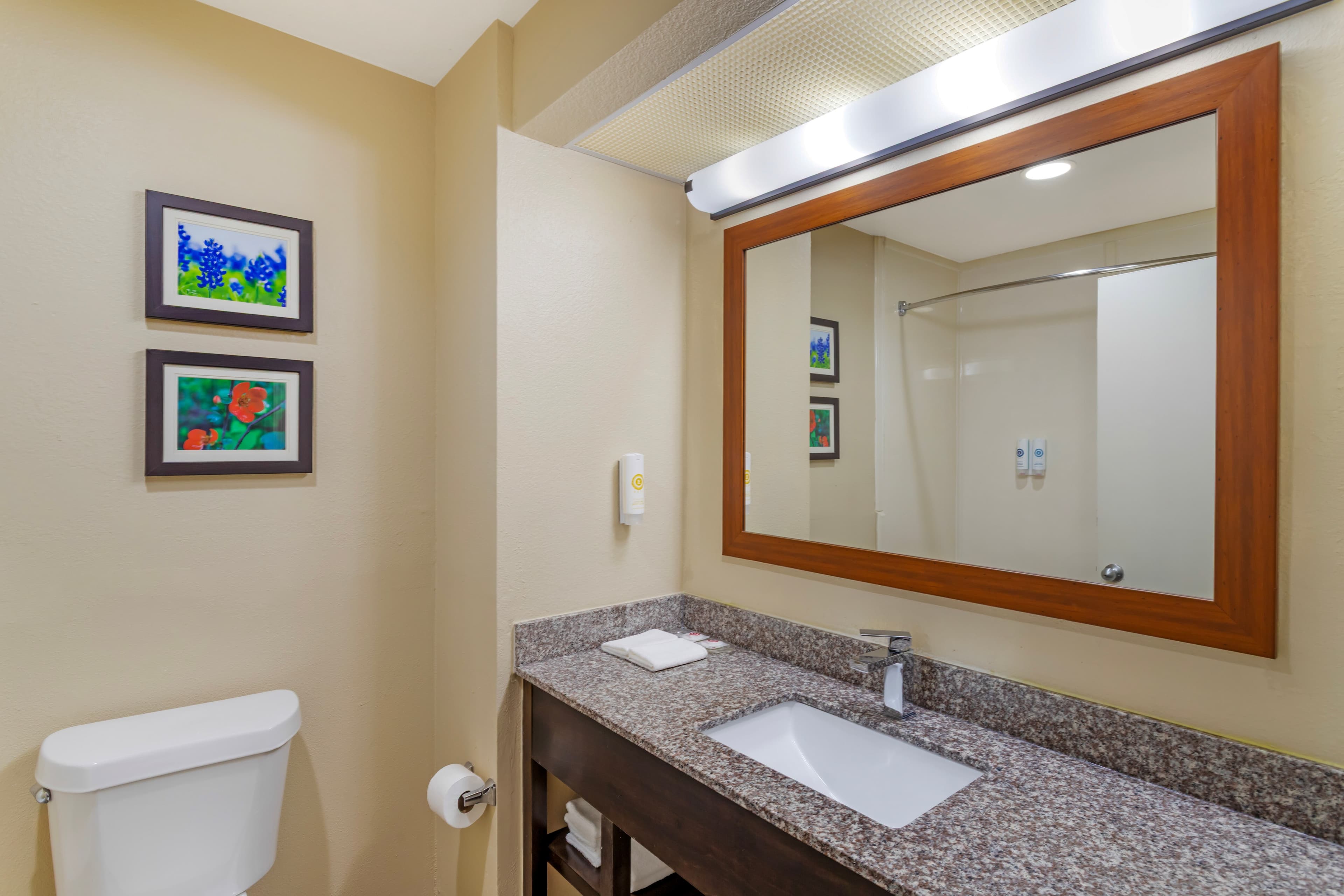 Comfort Suites Deer Park Pasadena — 9