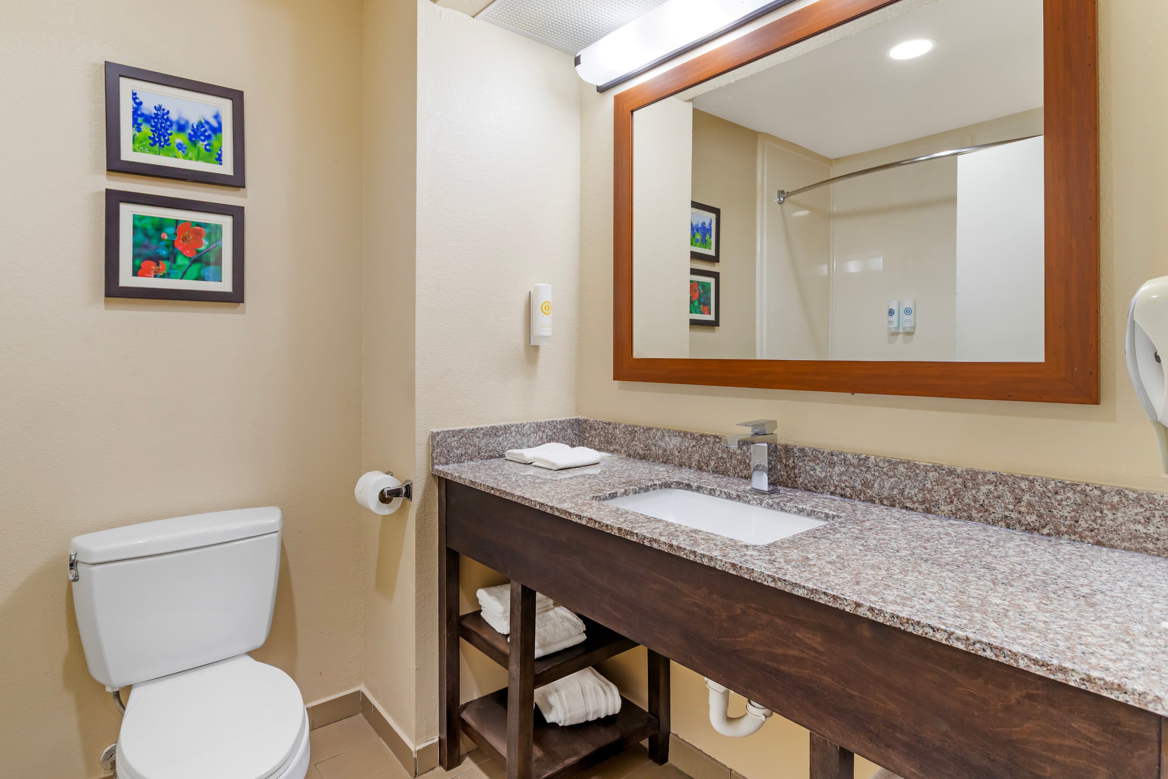 Comfort Suites Deer Park Pasadena — 13