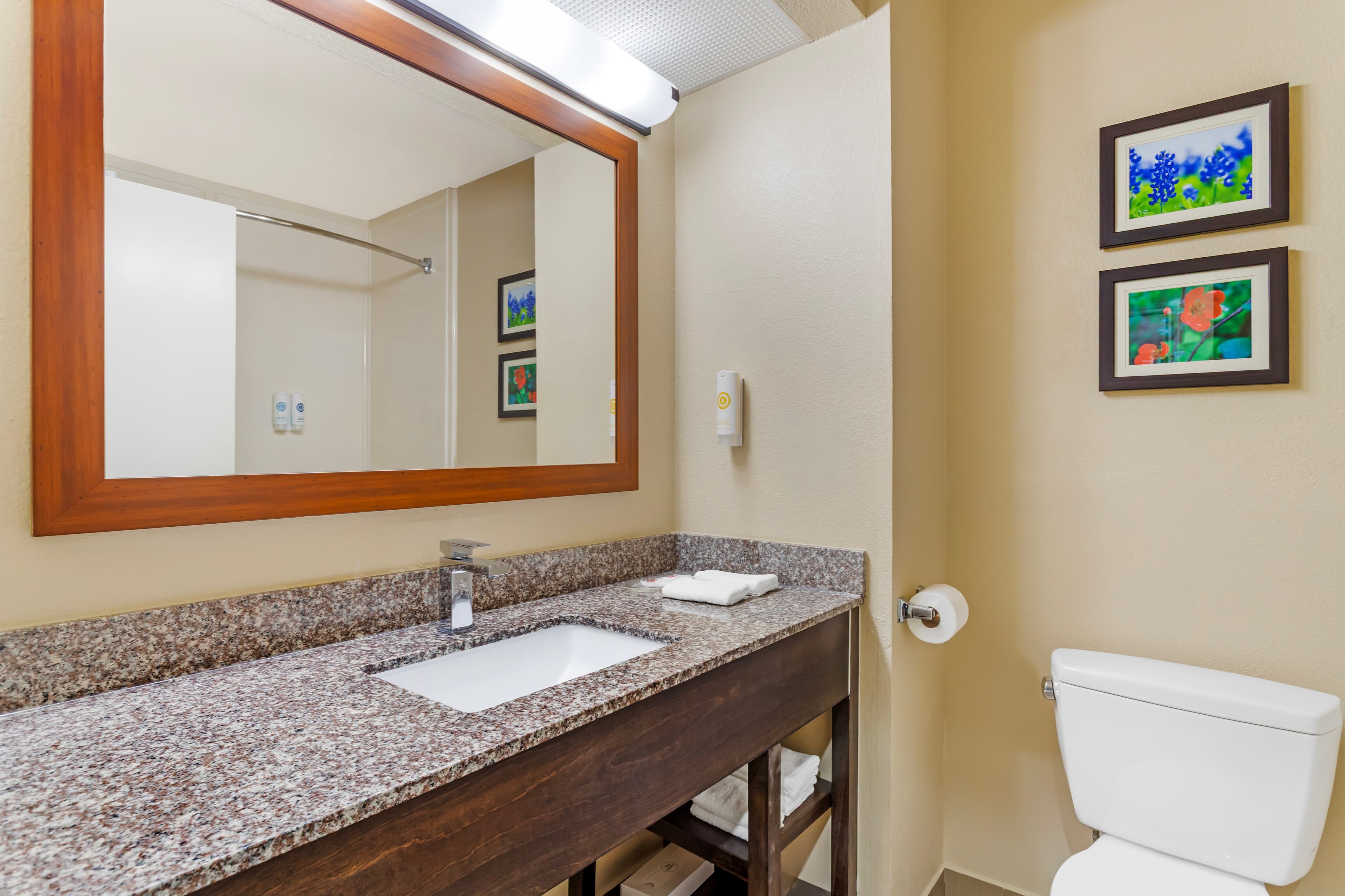 Comfort Suites Deer Park Pasadena - Image 5