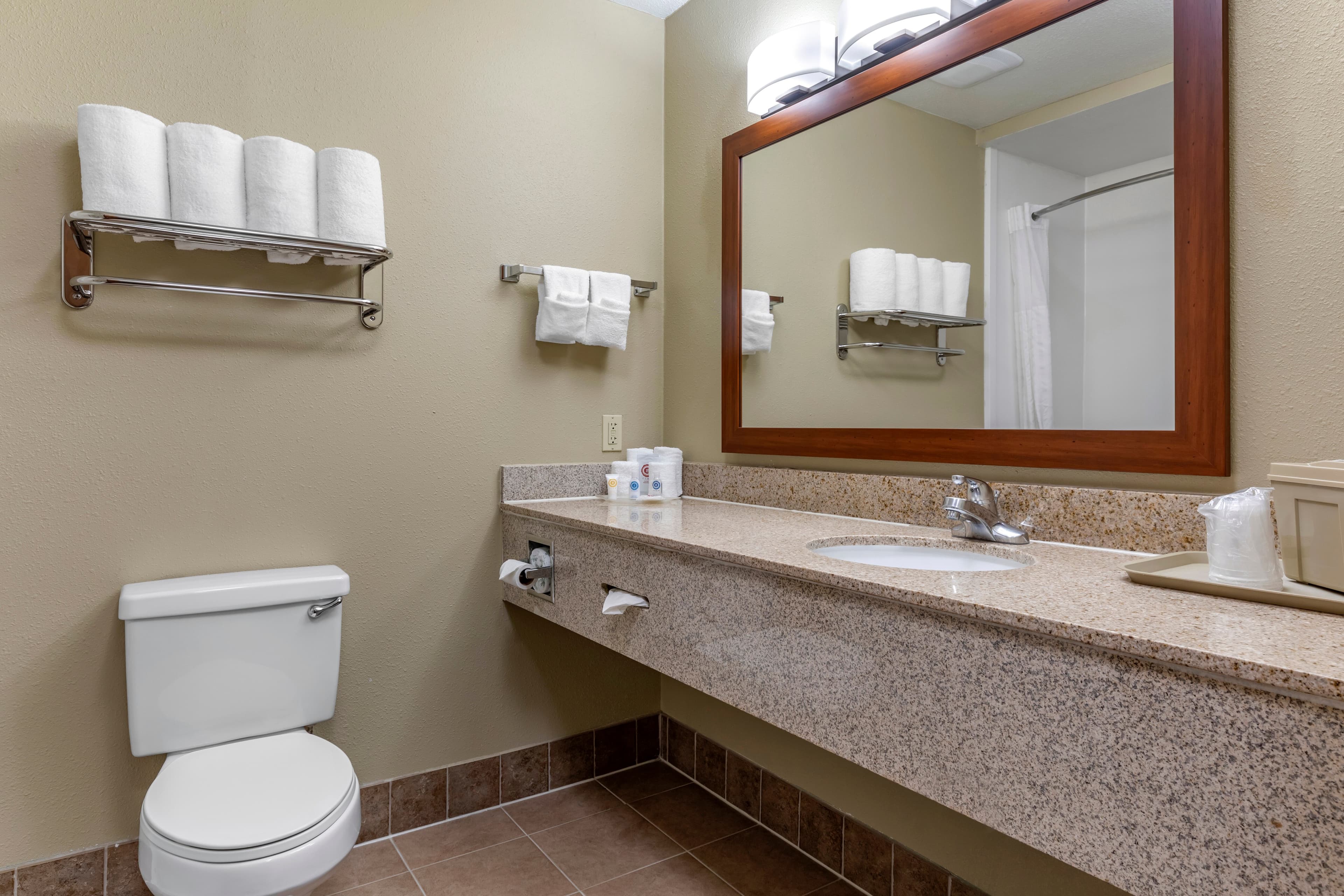 Comfort Suites Waco Near University Area — 17