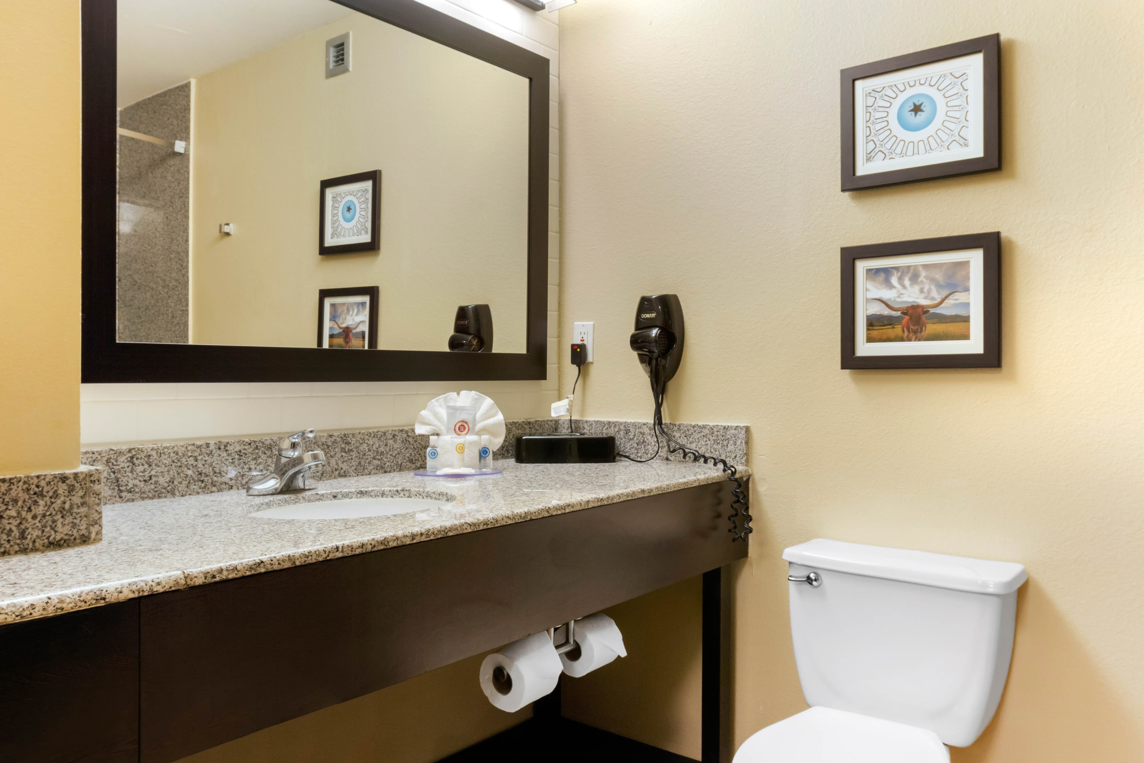 Comfort Inn & Suites Amarillo East — 16