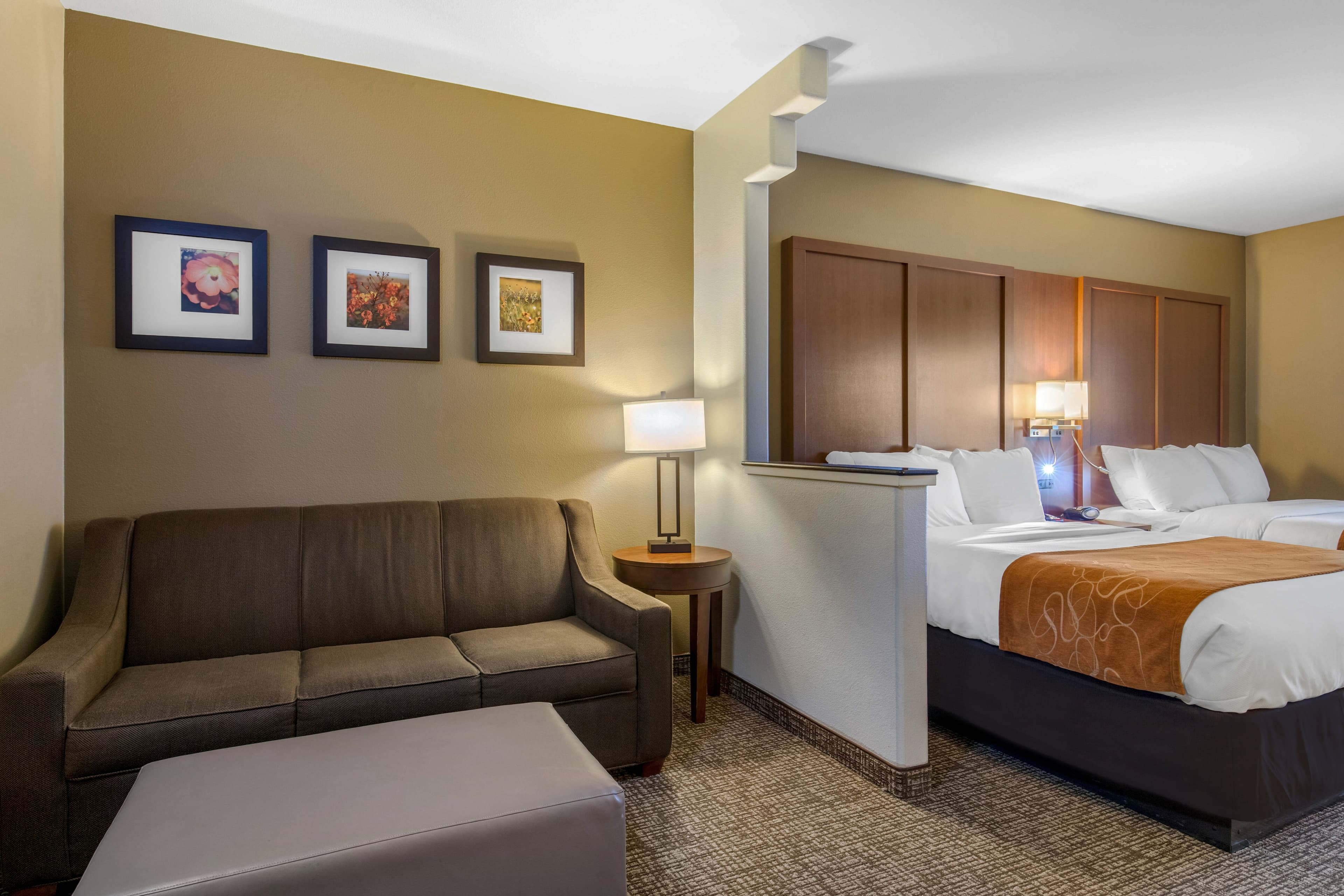 Comfort Suites Marshall — 9