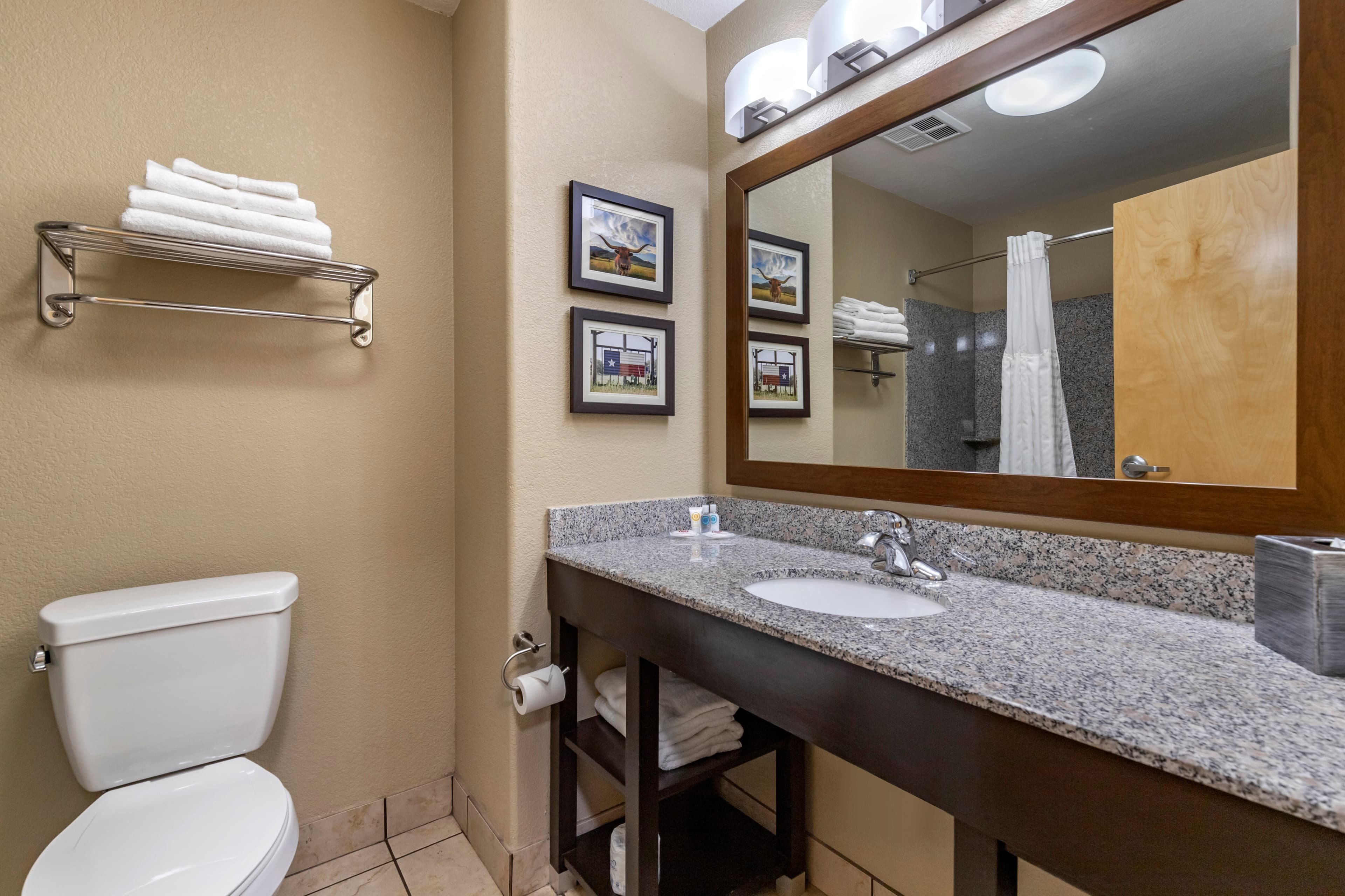 Comfort Suites Georgetown — 13