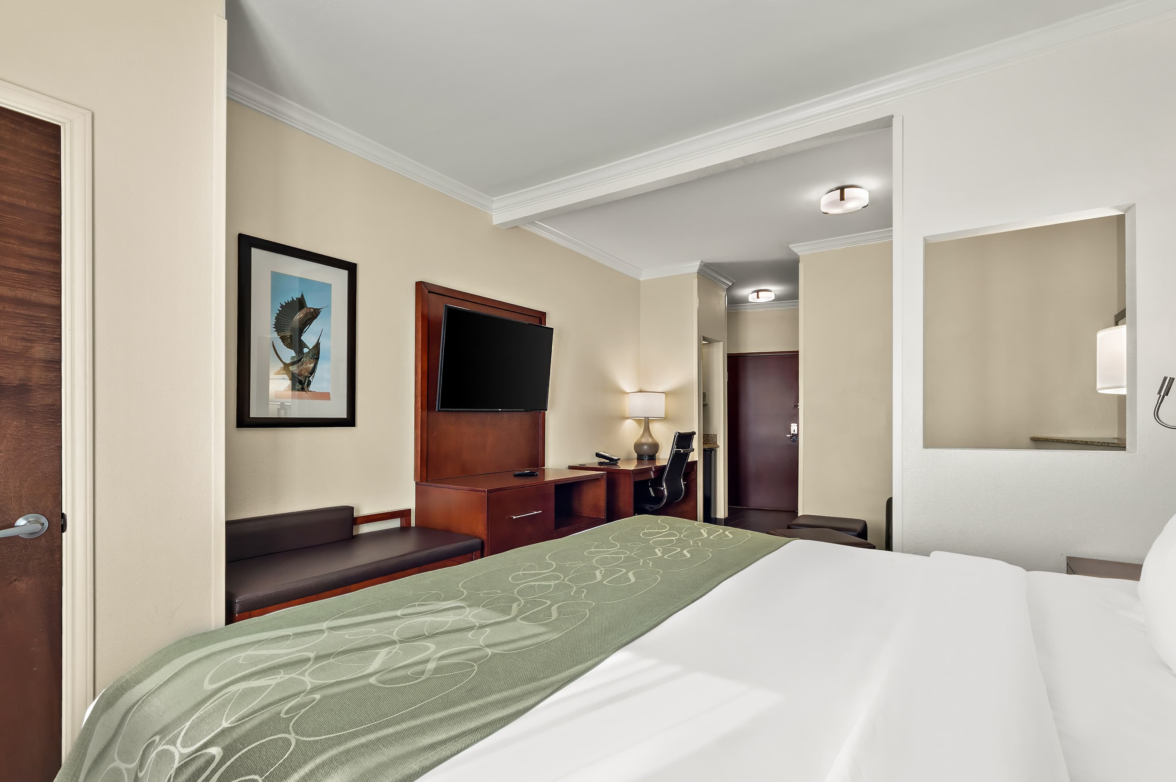 Comfort Suites Corpus Christi Central — 17