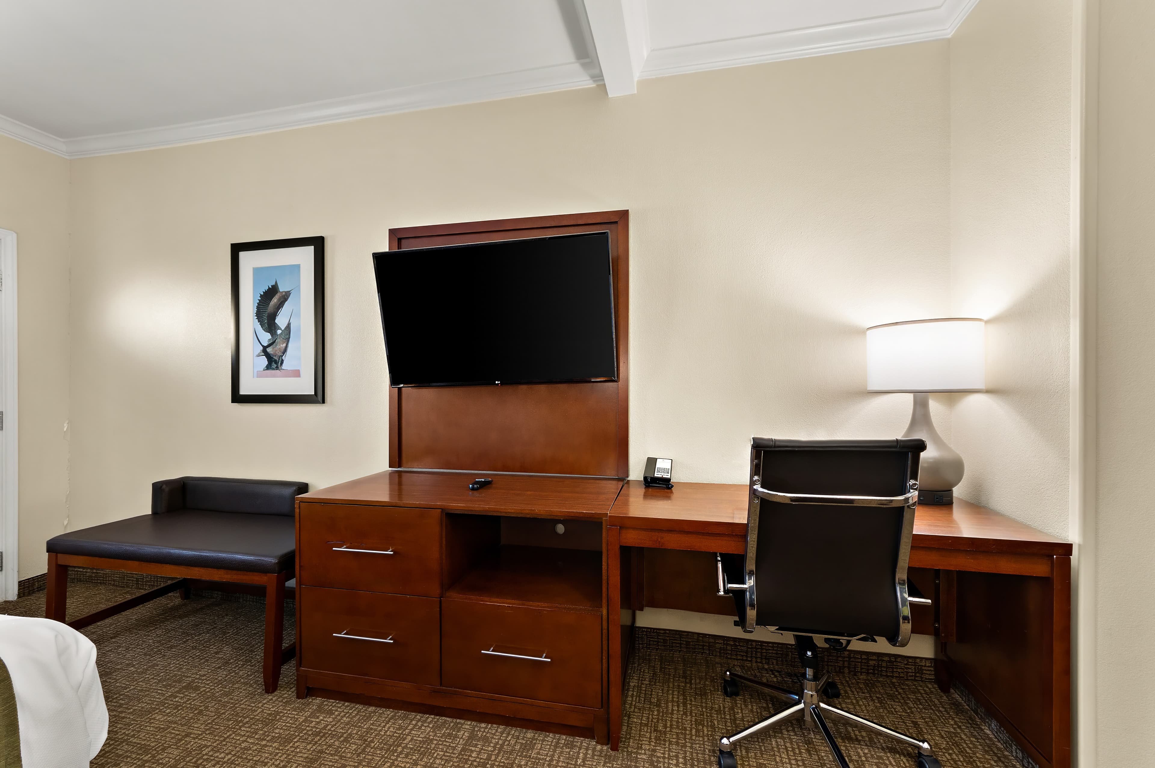 Comfort Suites Corpus Christi Central — 19