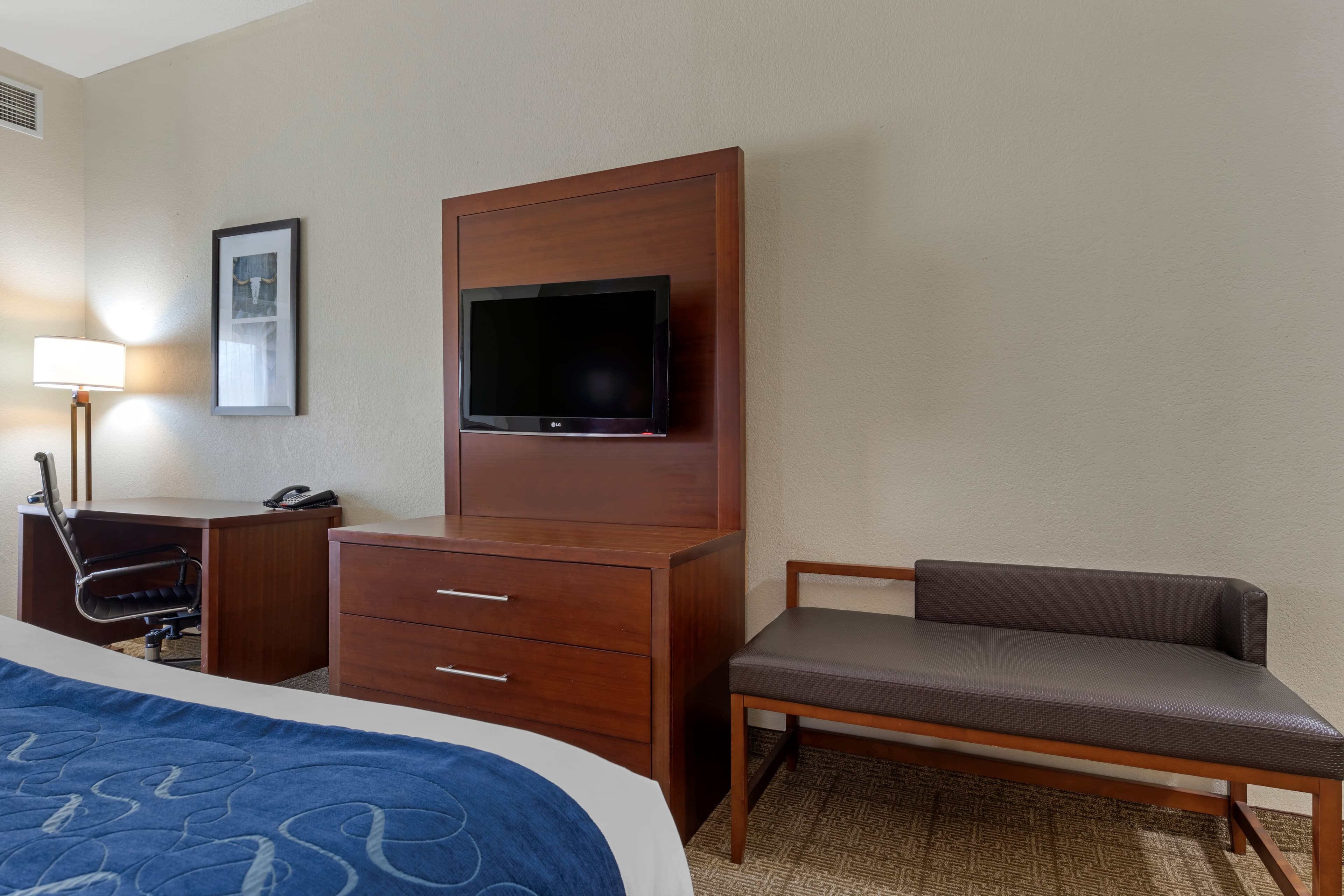Comfort Suites Gainesville - Image 3